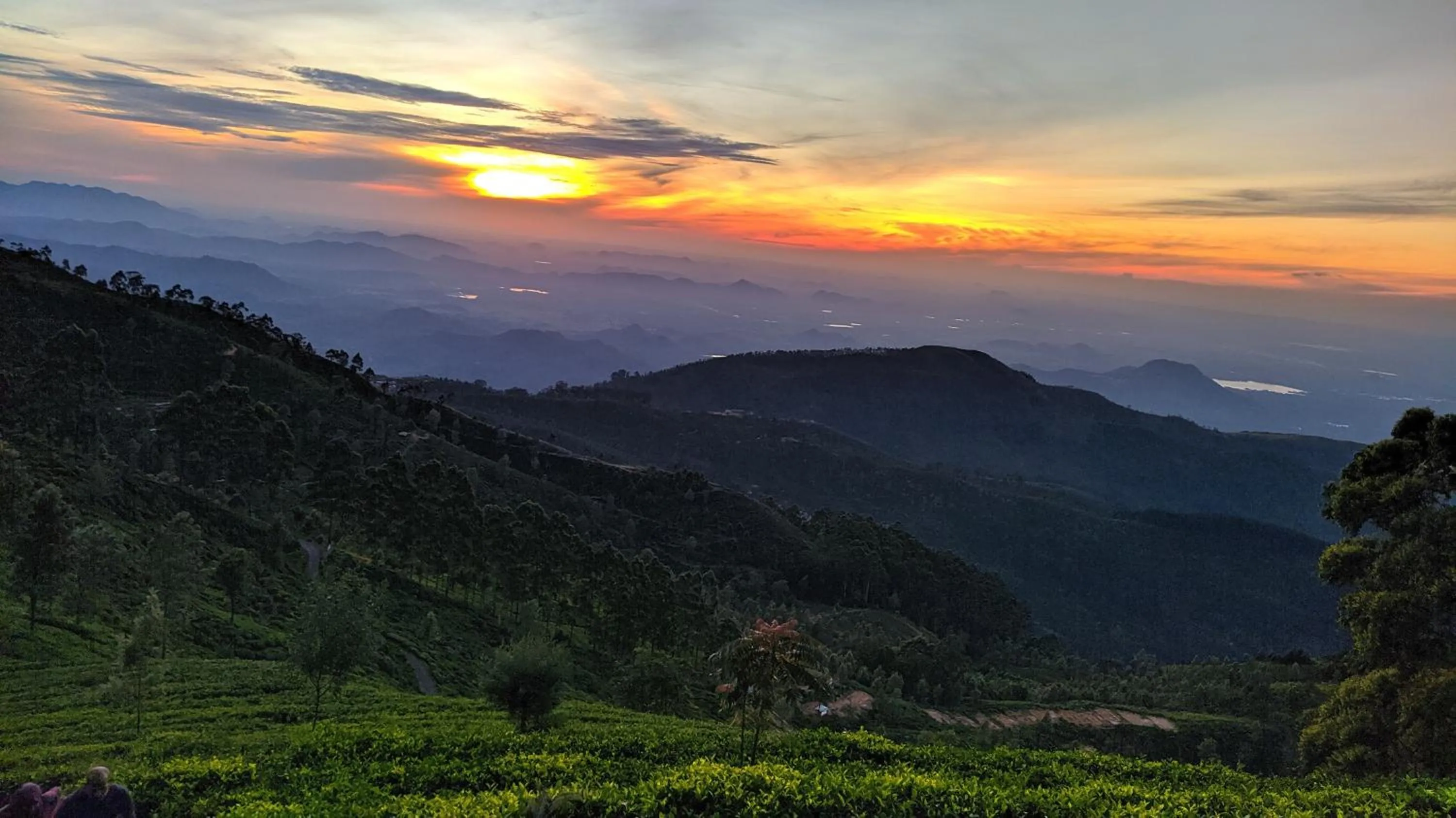 Natural landscape in White Home