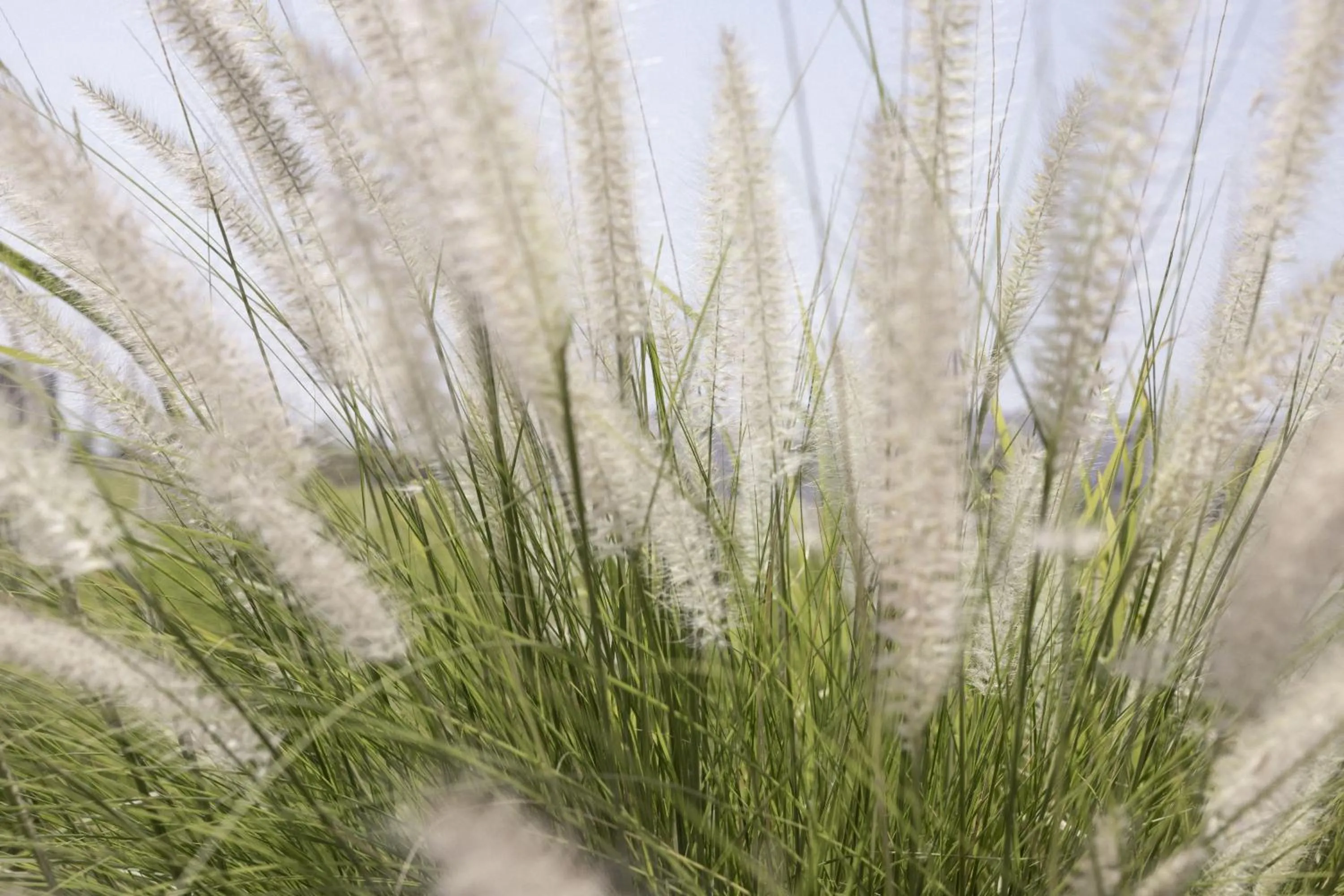 Natural landscape in Tierra Maria