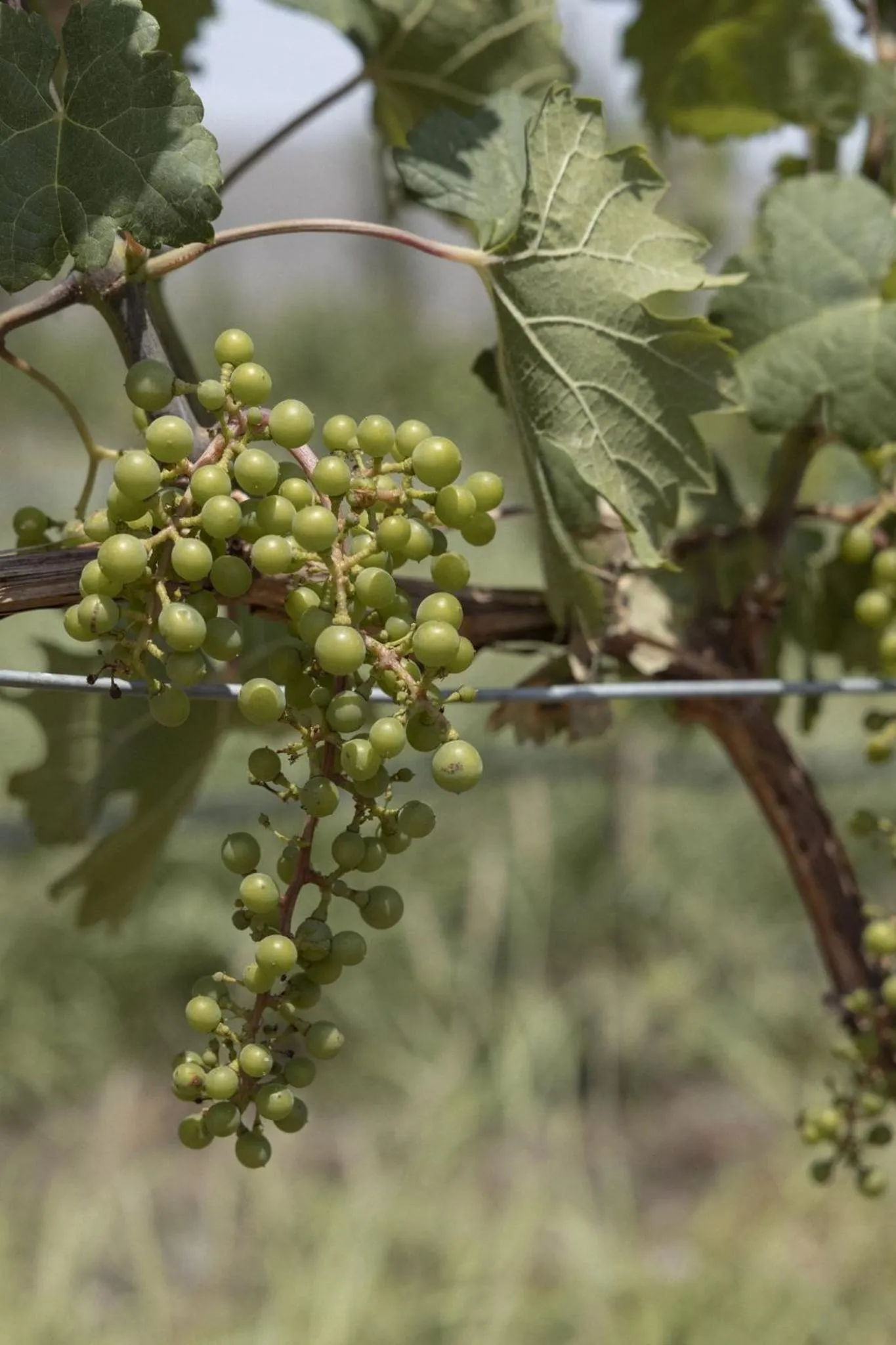 Natural landscape in Tierra Maria