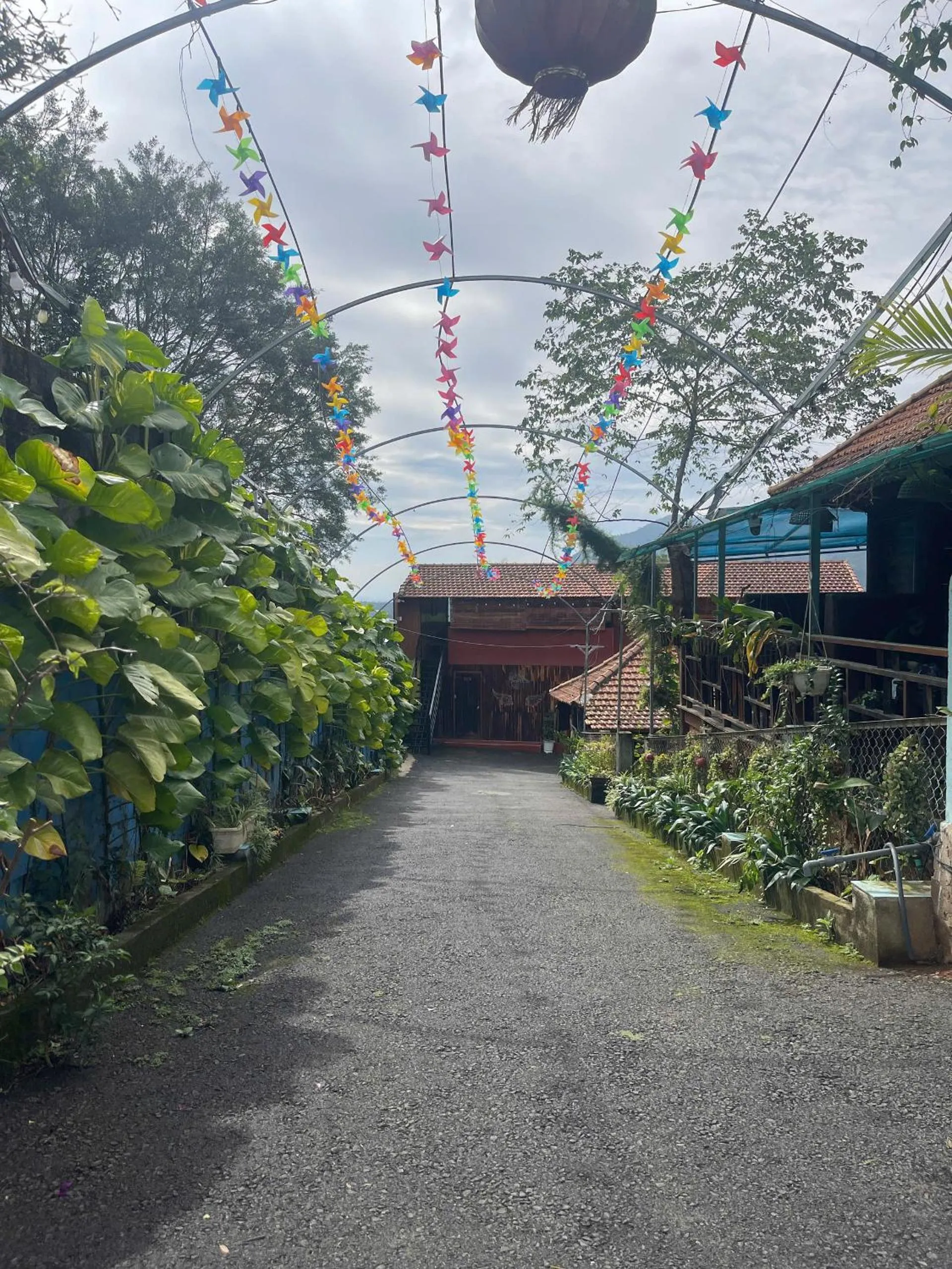 Restaurant/places to eat in Lien Do Star Hotel