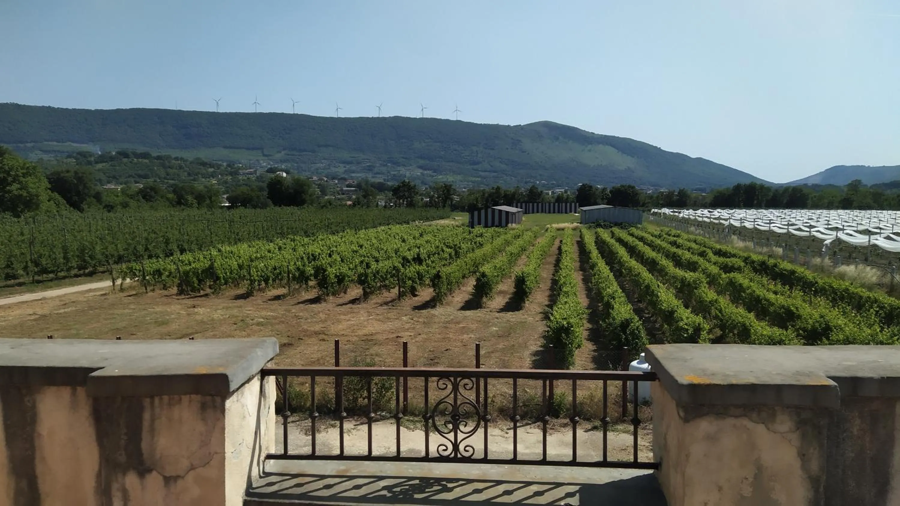 Agriturismo Il Casale del Cavaliere