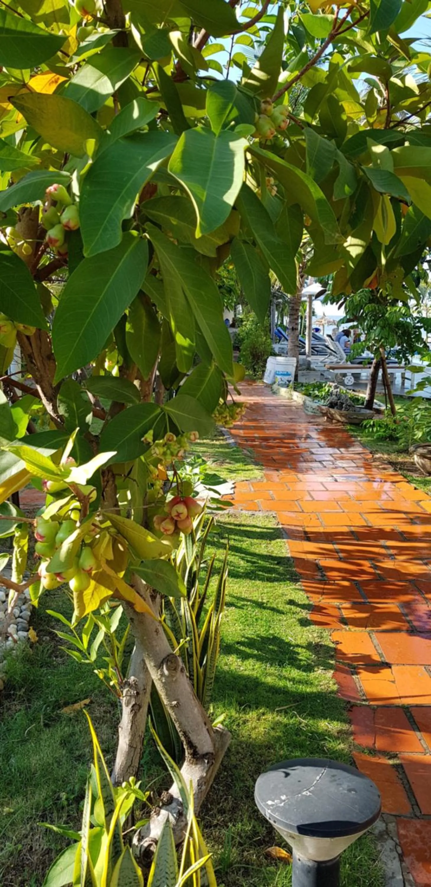 Natural landscape in Sun & Sands Beach Hotel