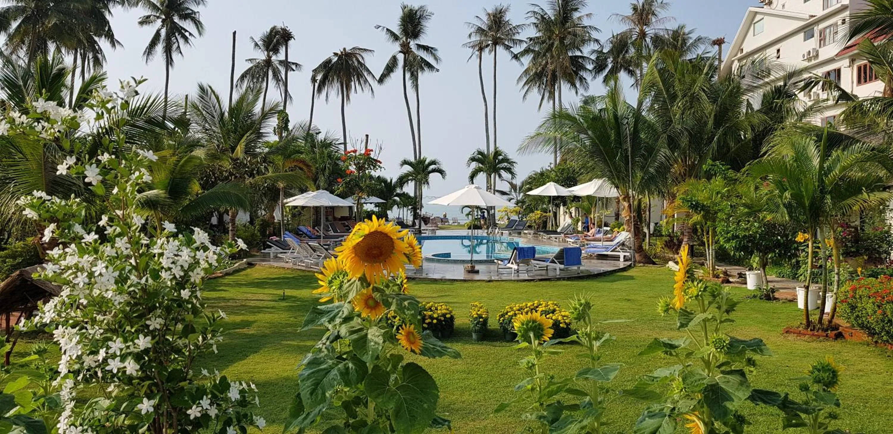 Garden in Sun & Sands Beach Hotel
