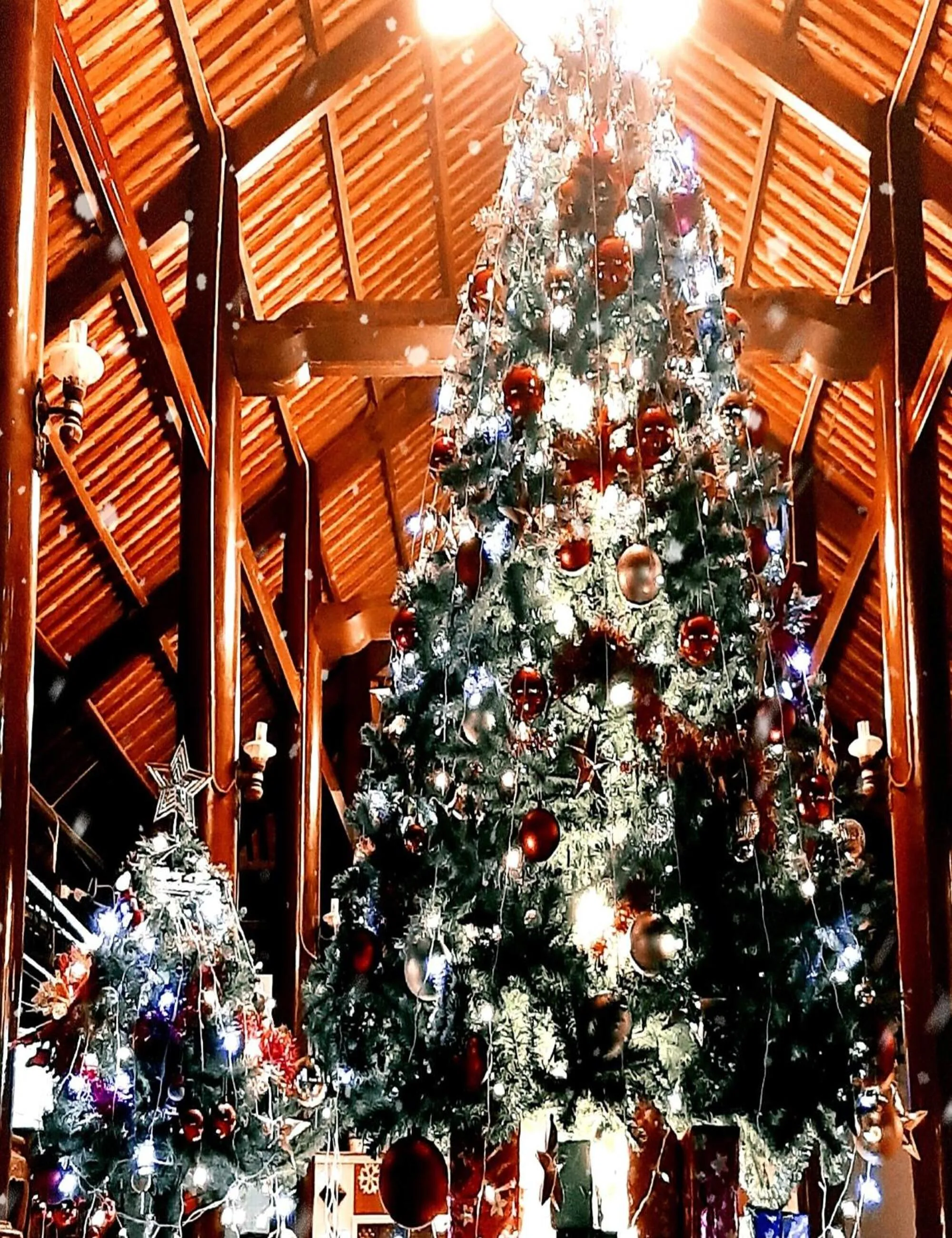 Lobby or reception in Saigon Emerald Beach Resort