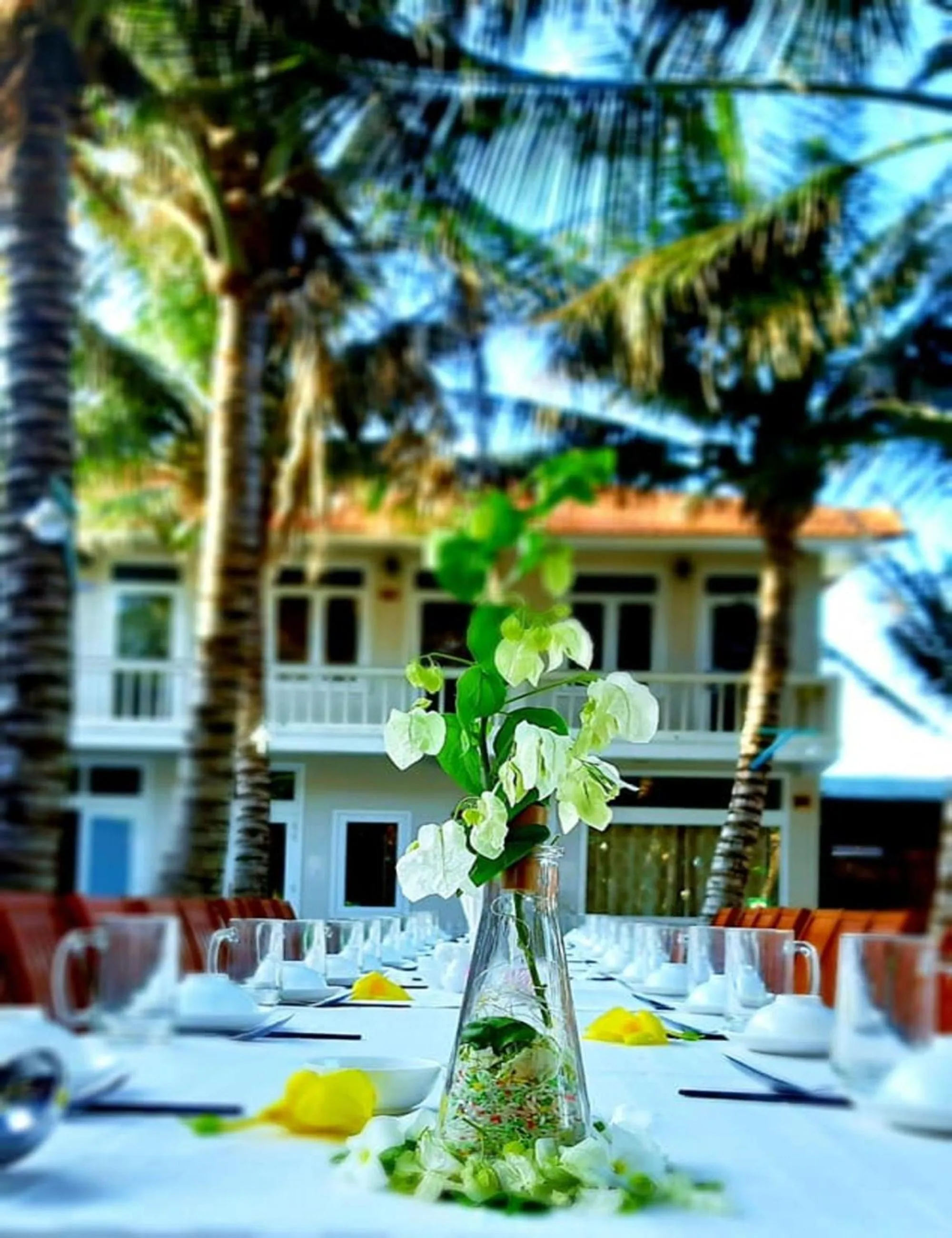 Property building in Saigon Emerald Beach Resort