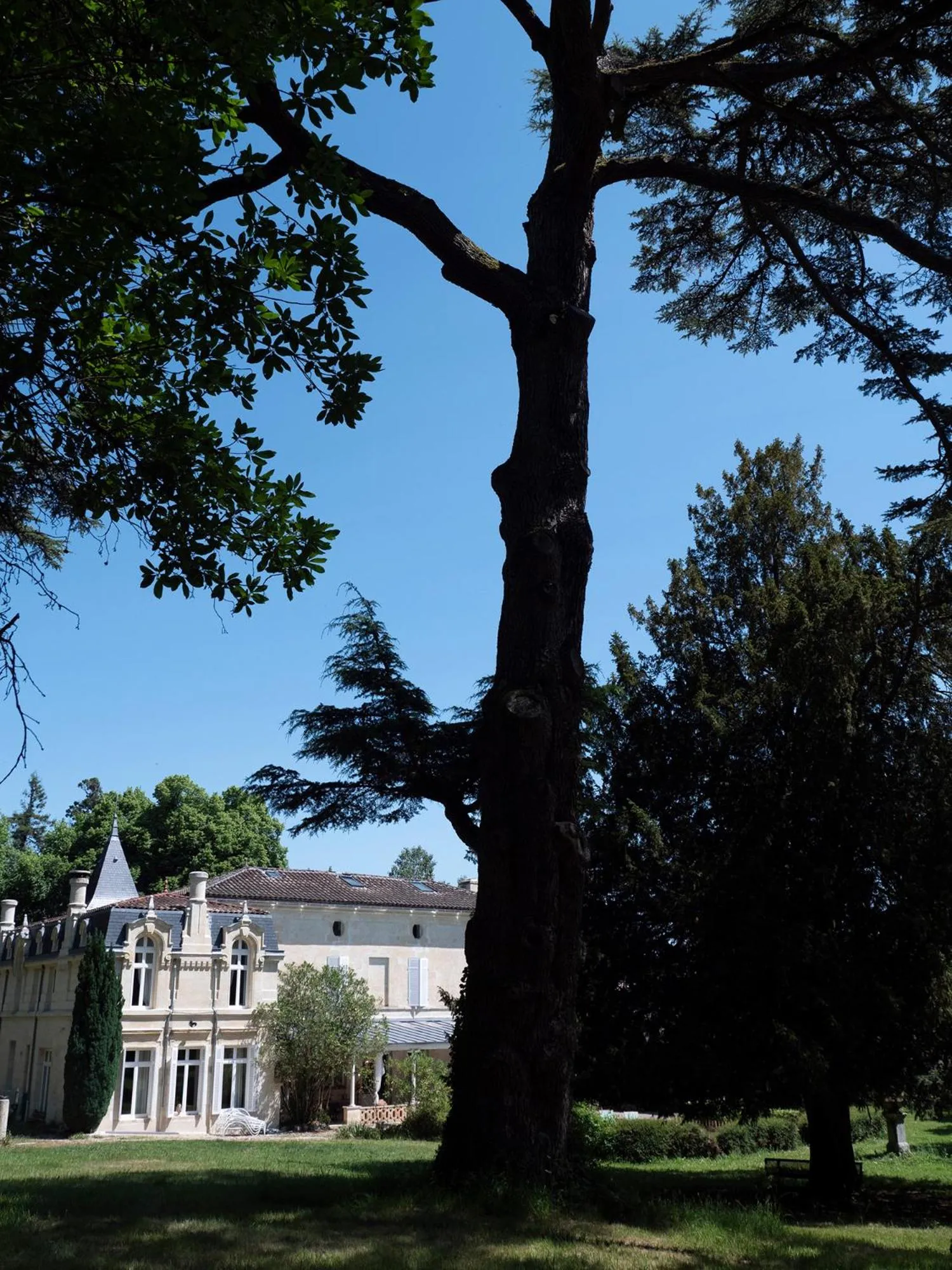 Property building in Château Fleur D'Aya