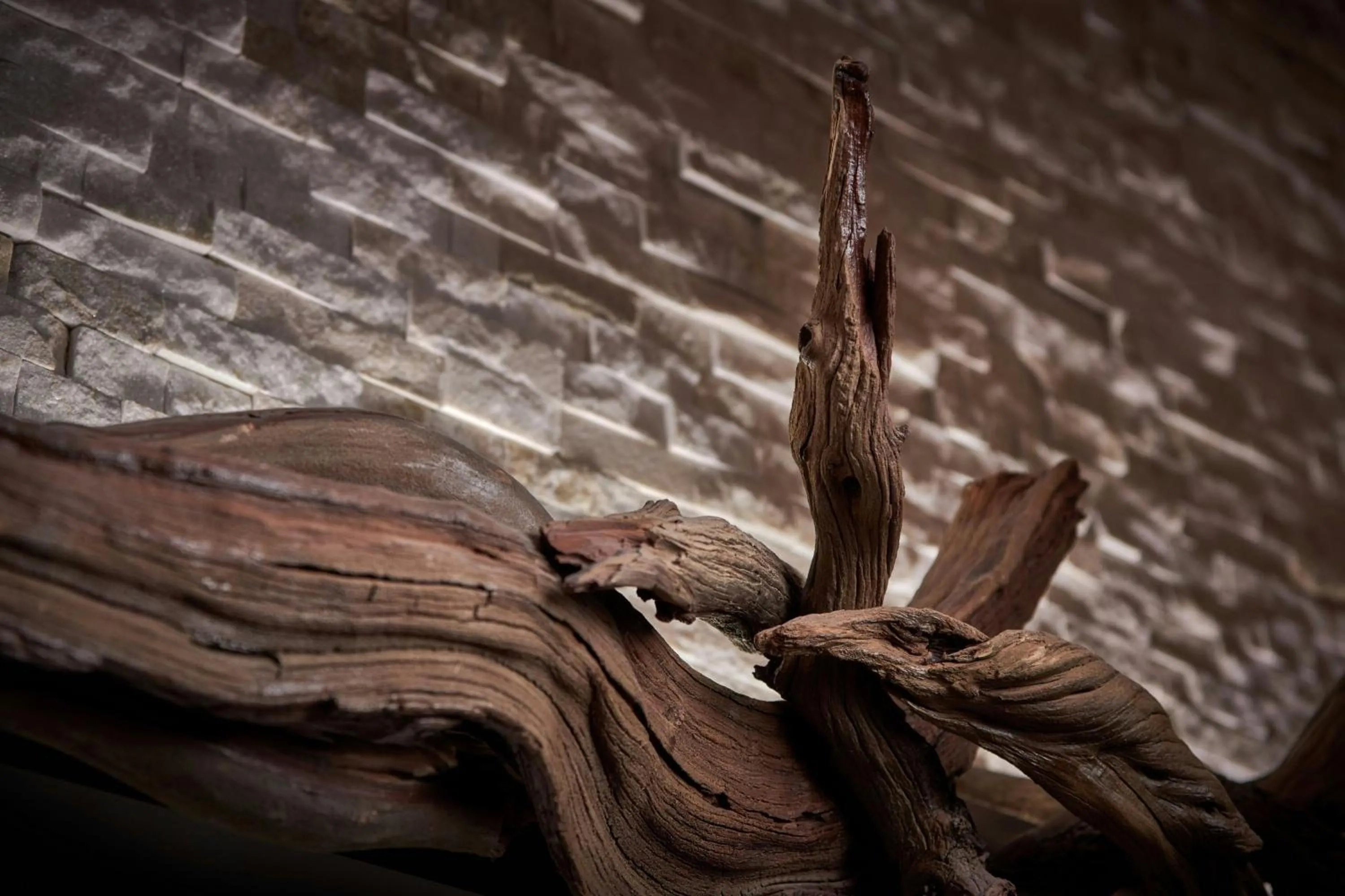 Lobby or reception in Andell Inn