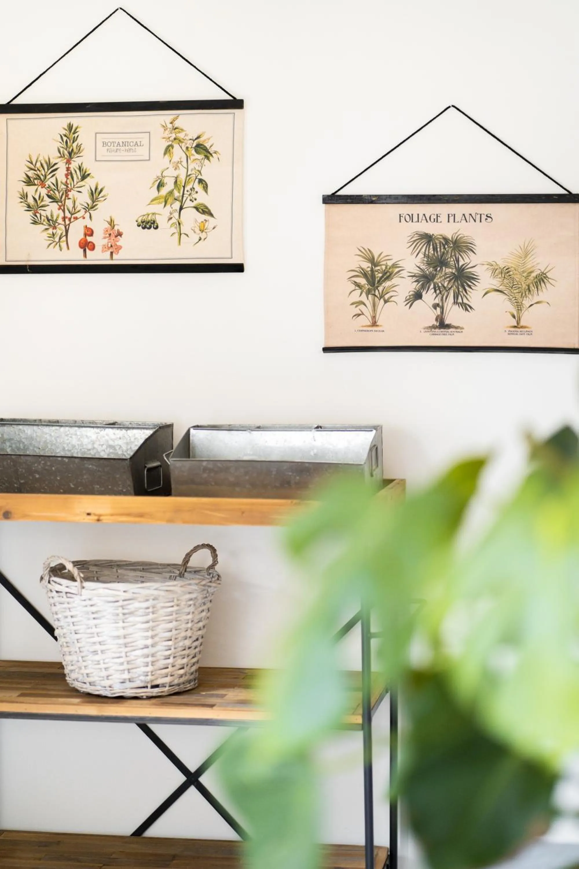 Casale delle Lavande