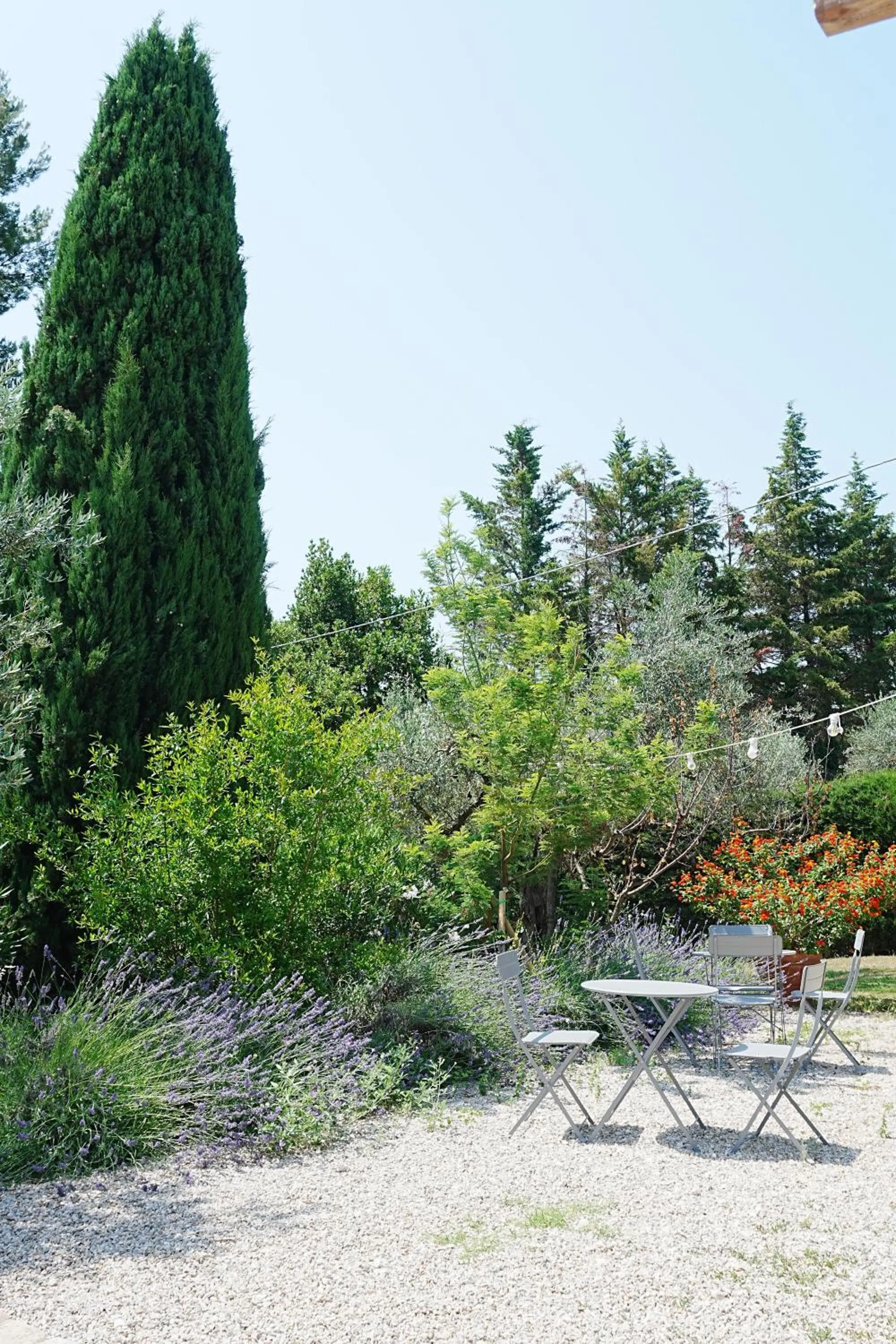 Casale delle Lavande