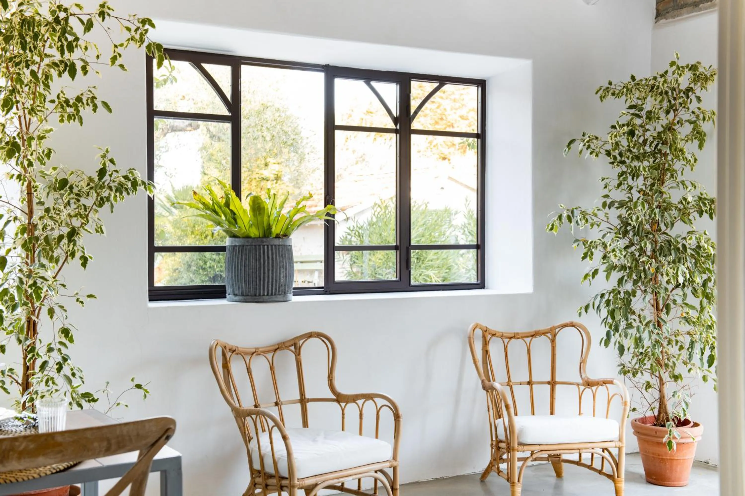 Casale delle Lavande