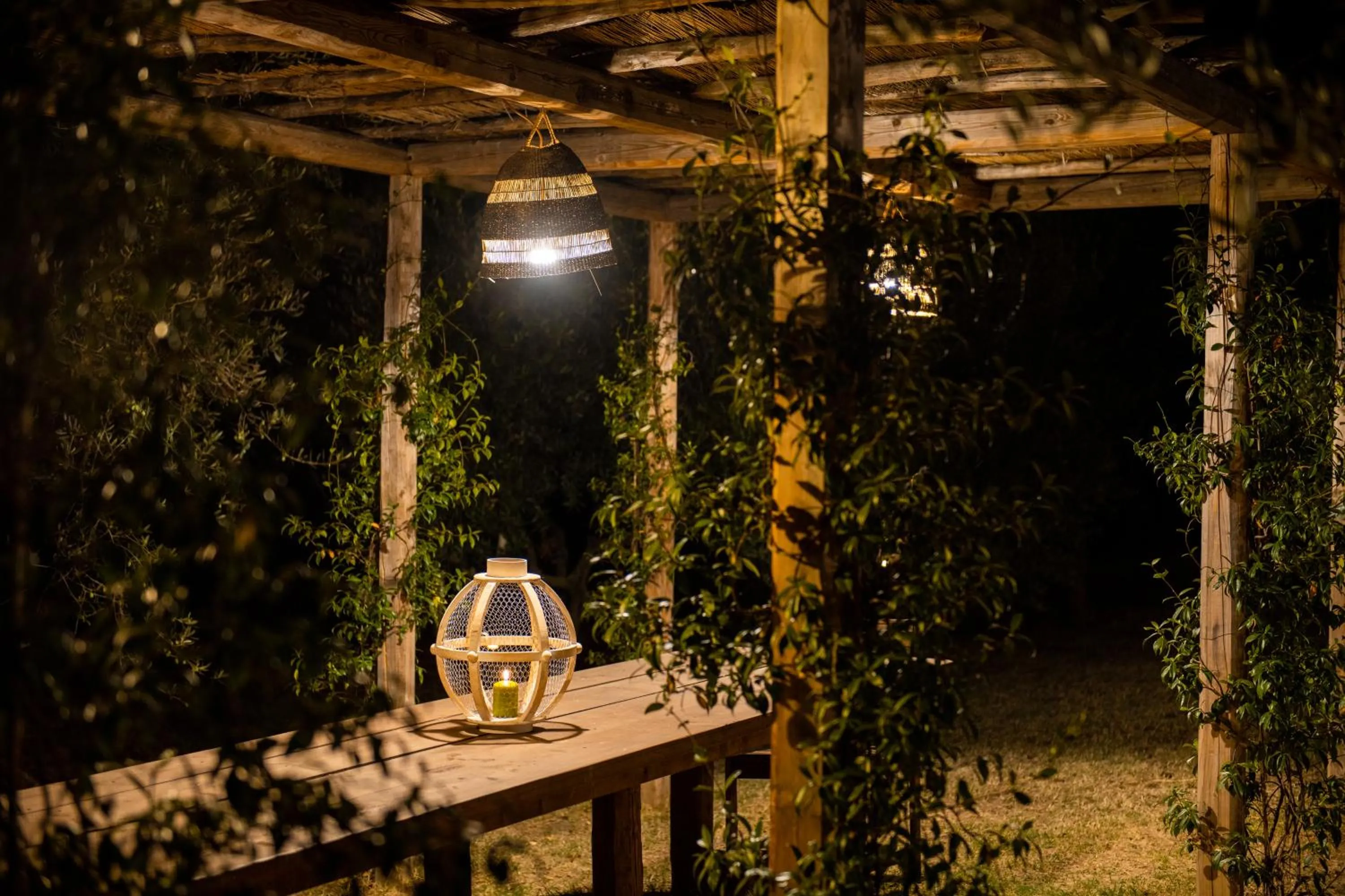 Garden view in Casale delle Lavande