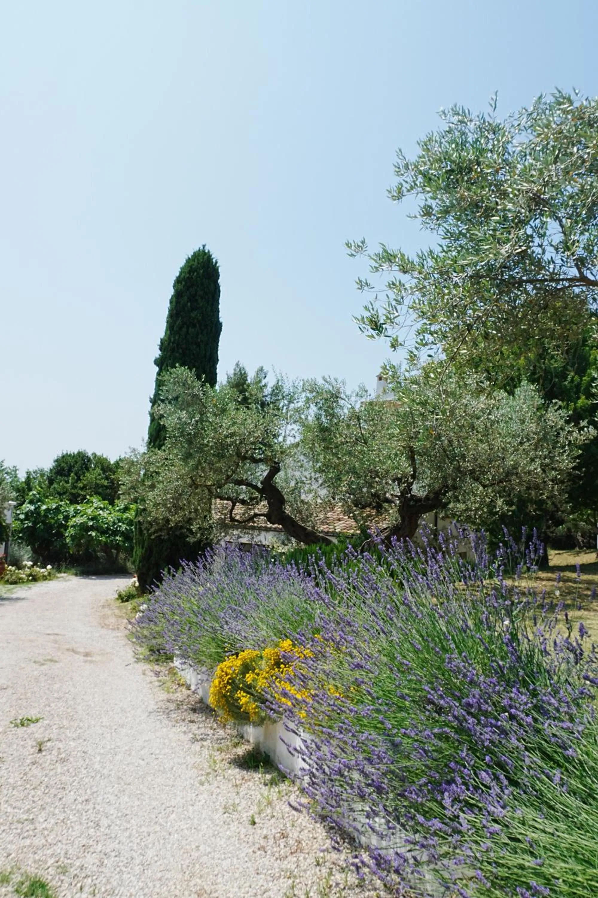 Casale delle Lavande