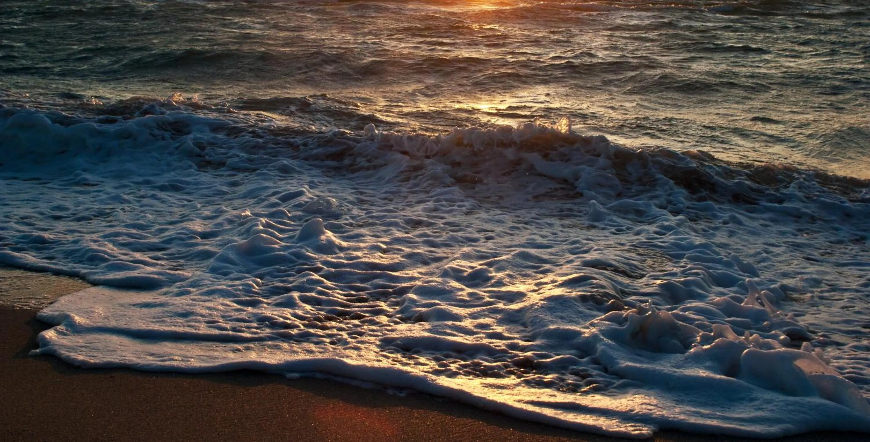 Beach in Leslie Hotel Ocean Drive