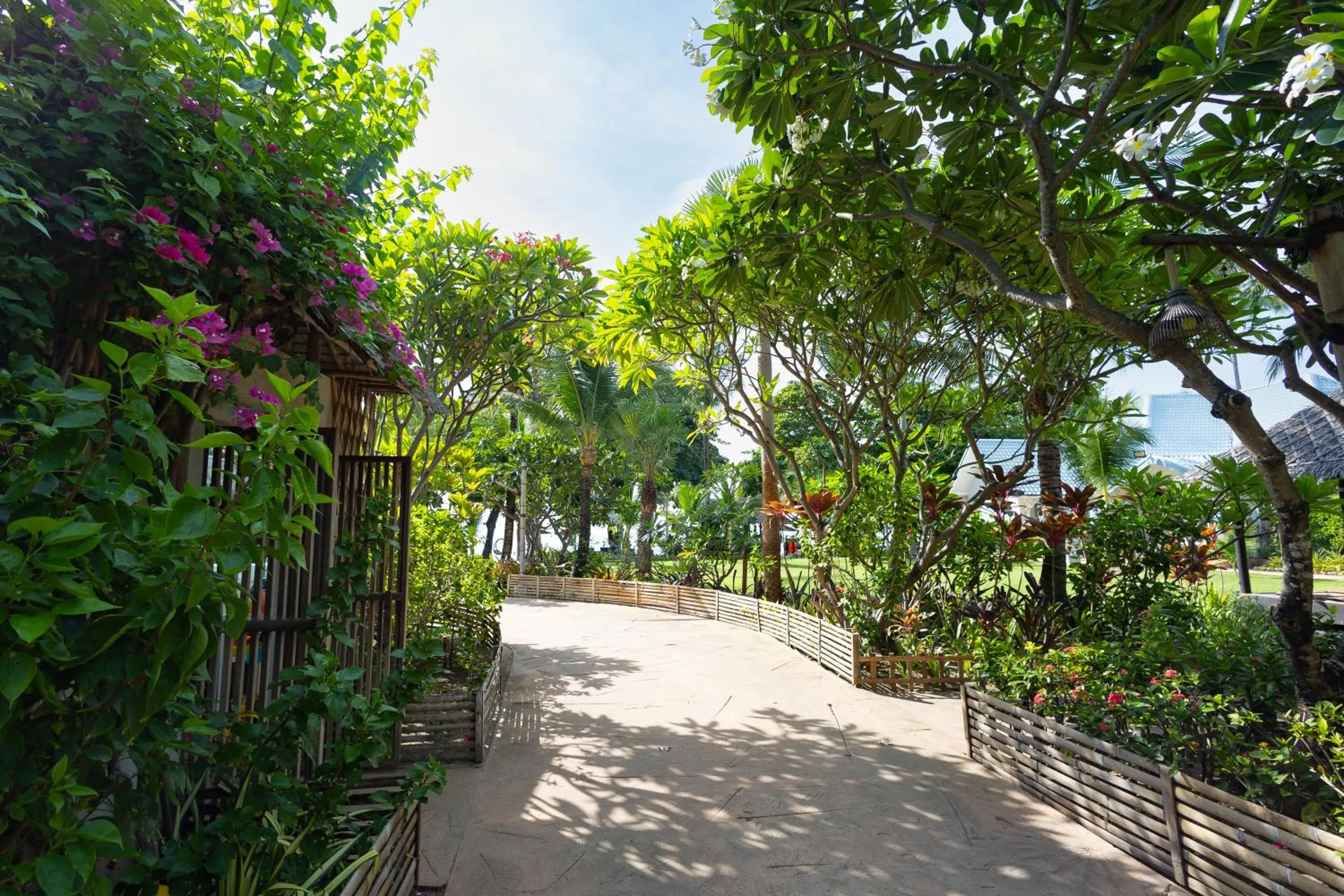 Garden in King's Garden Resort - SHA Plus