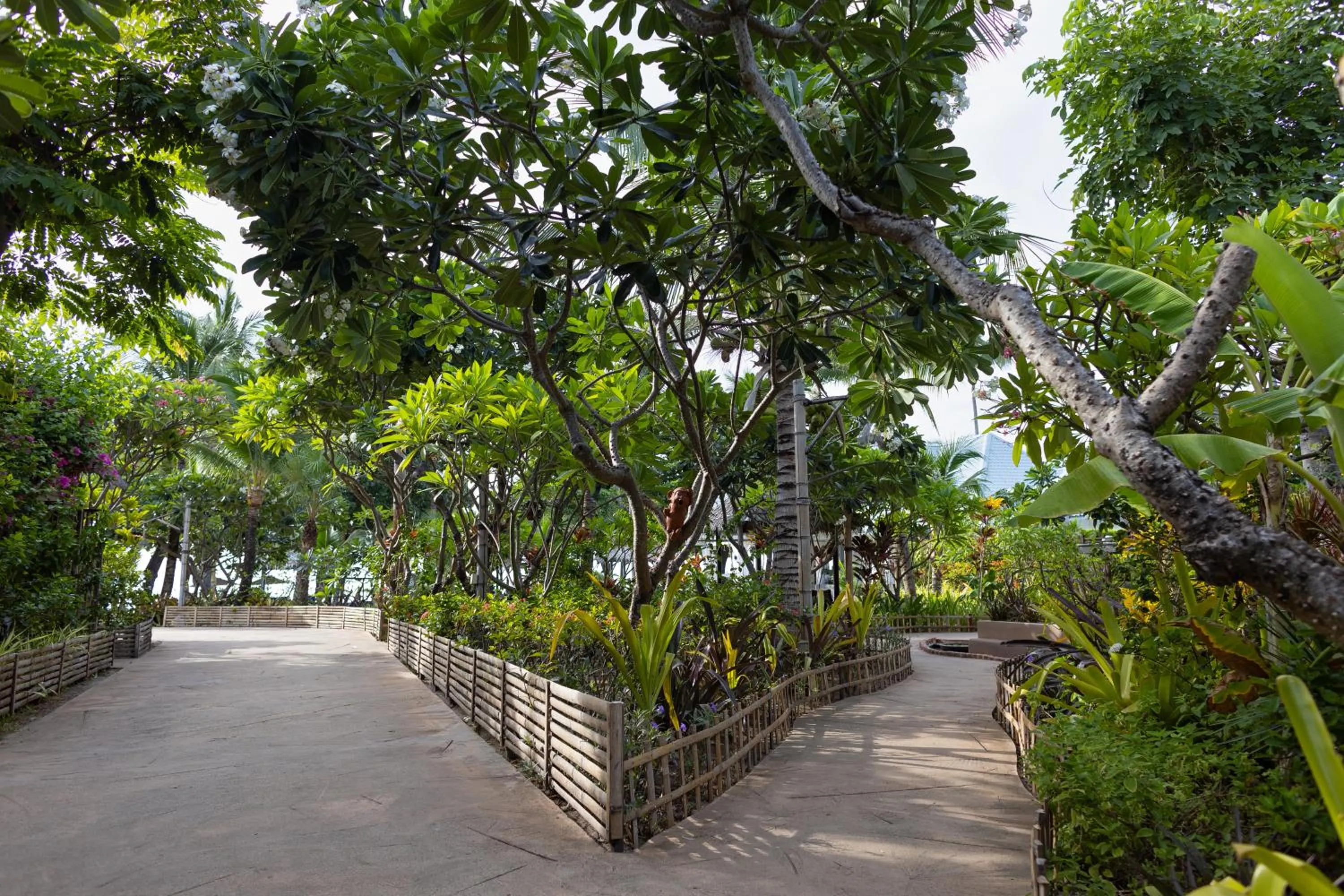 Garden in King's Garden Resort - SHA Plus