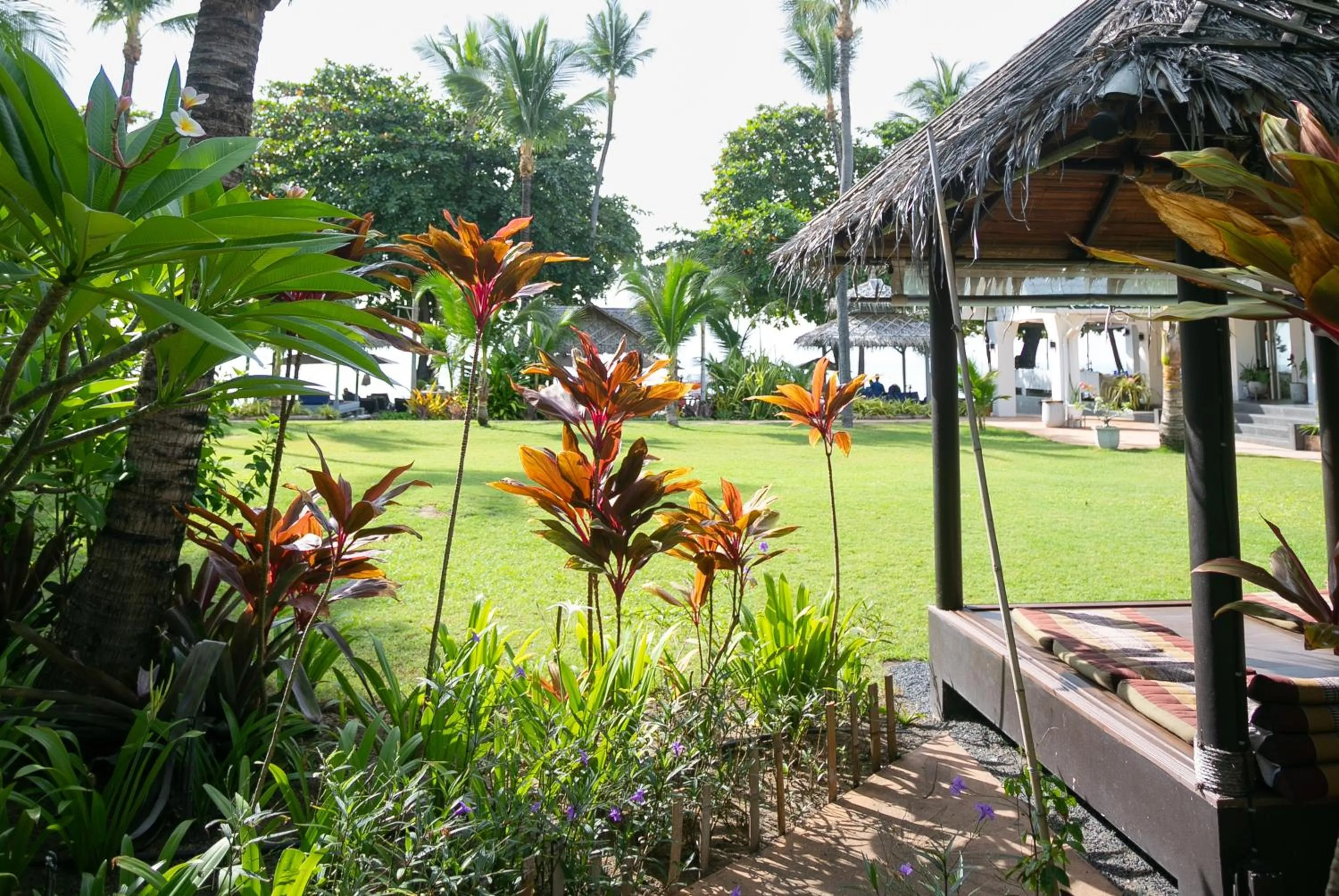 Garden in King's Garden Resort - SHA Plus