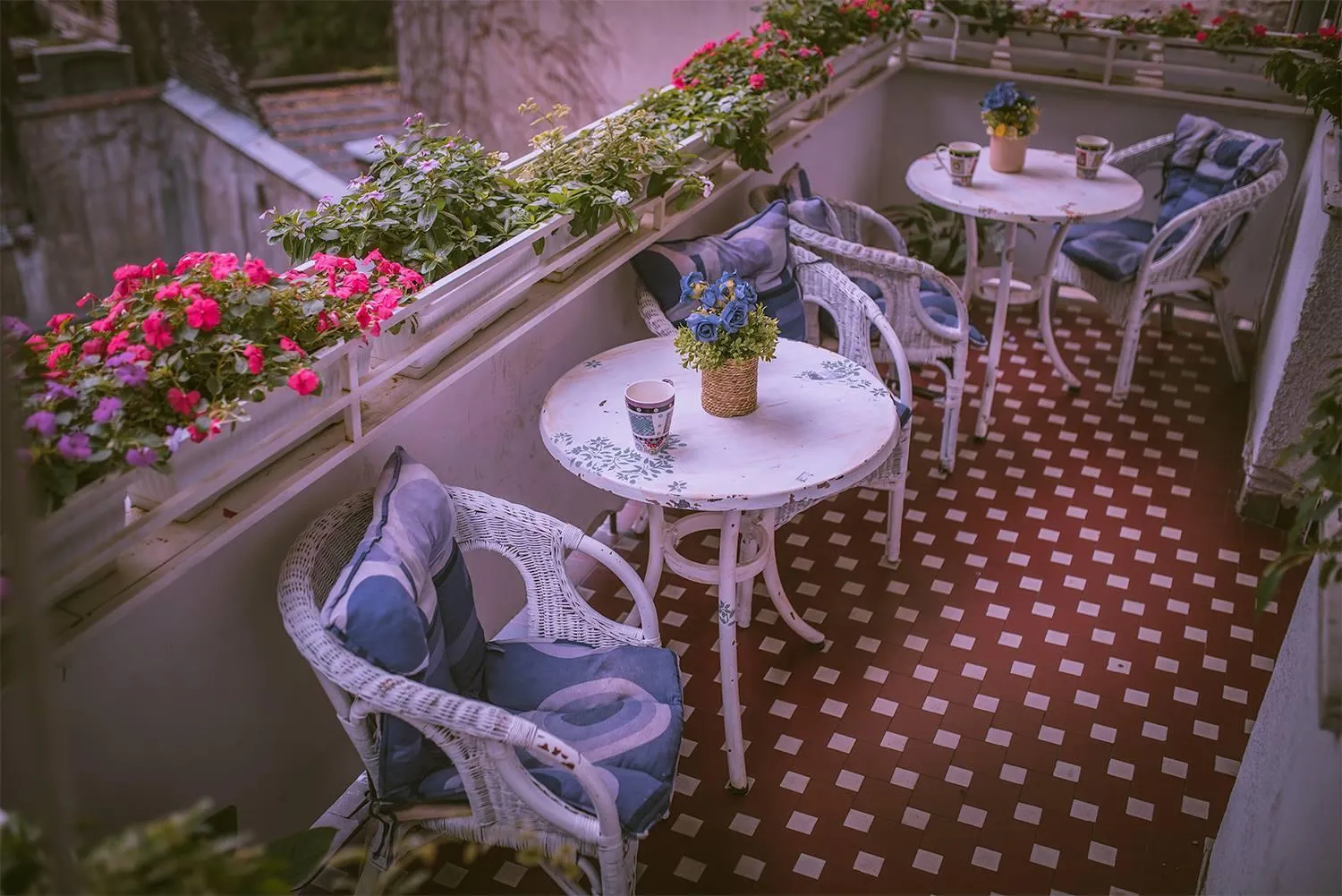 Day in Hostel Beogradjanka