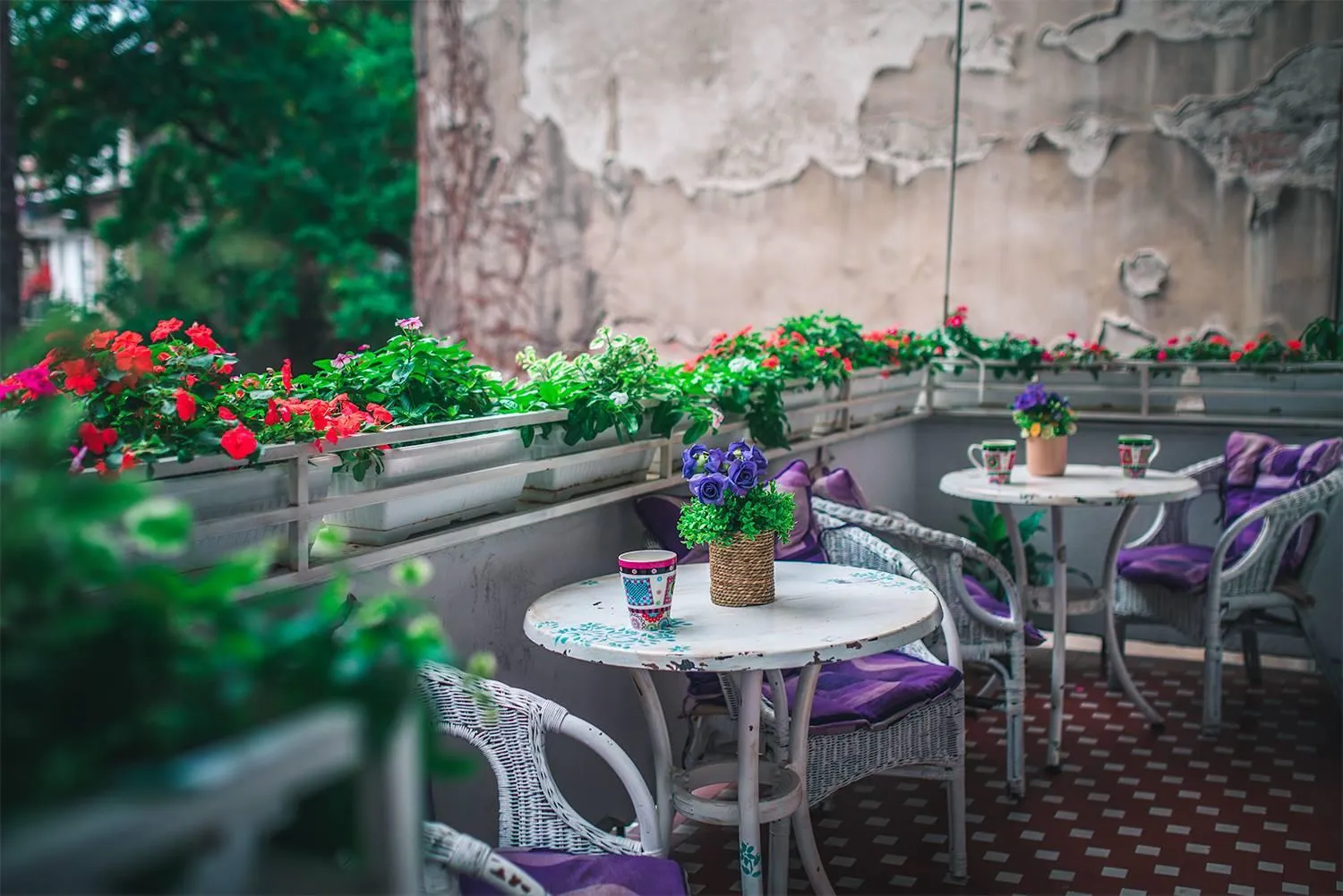 Balcony/Terrace in Hostel Beogradjanka