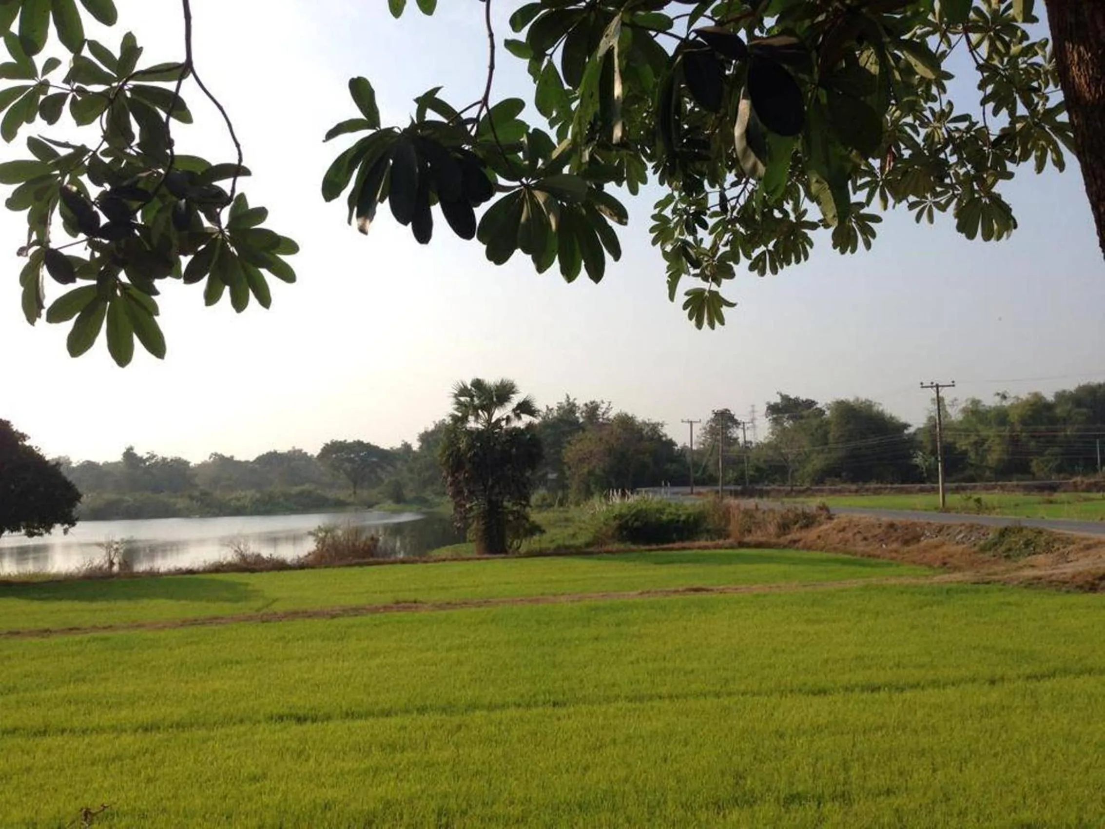 View (from property/room) in Sweet Inn Resort