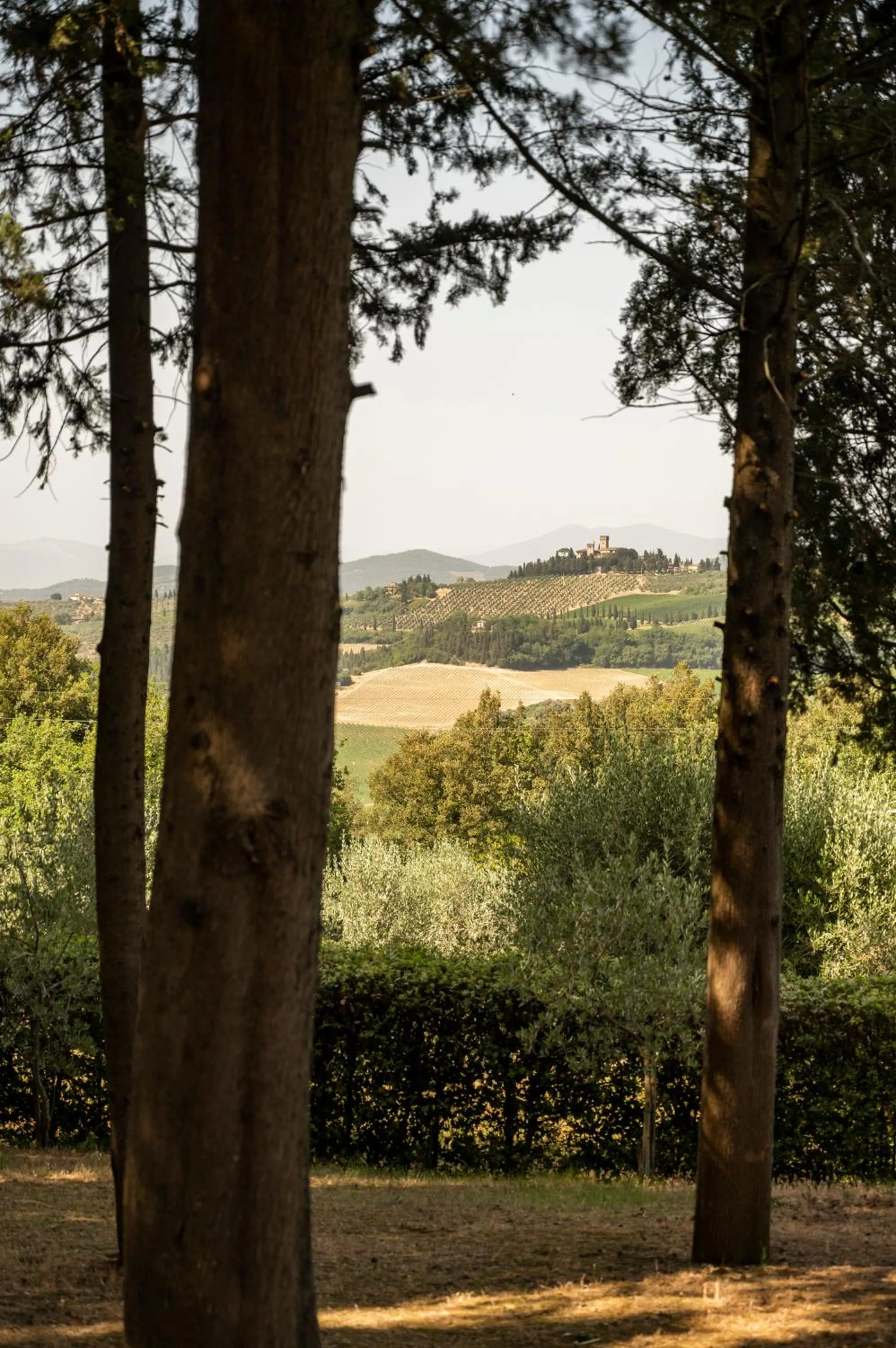 Nearby landmark in Relais Villa La Cappella