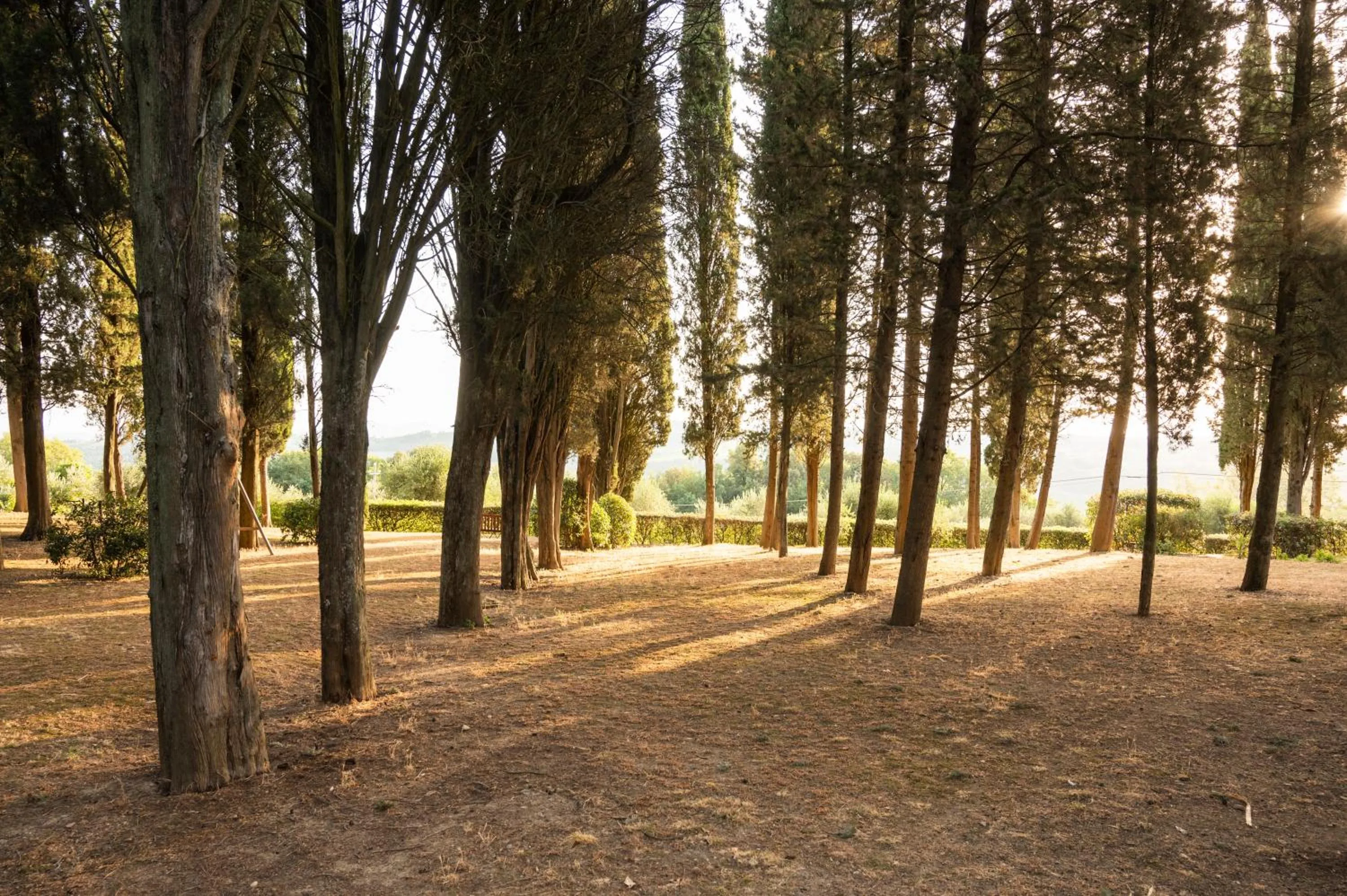Natural landscape in Relais Villa La Cappella