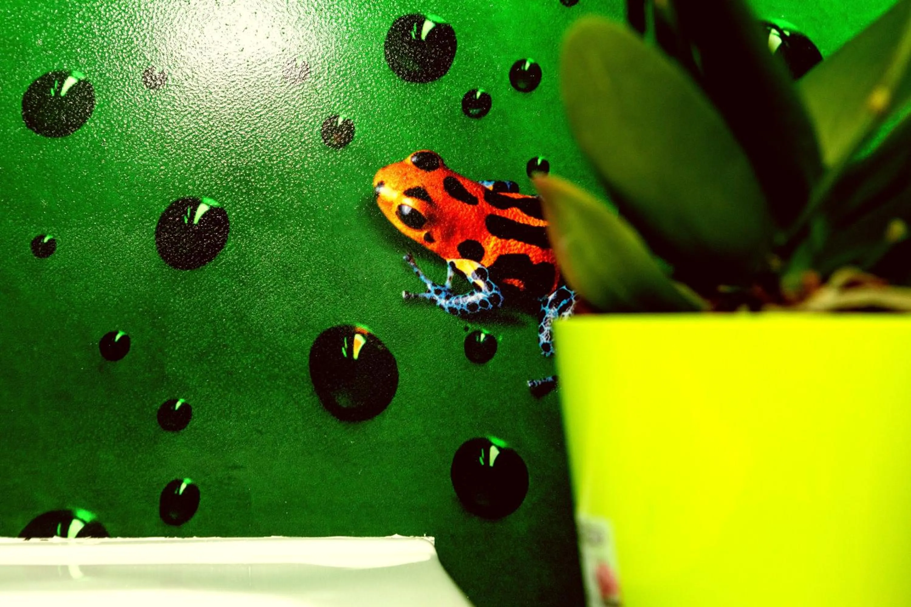 Decorative detail in Affittacamere Pavia