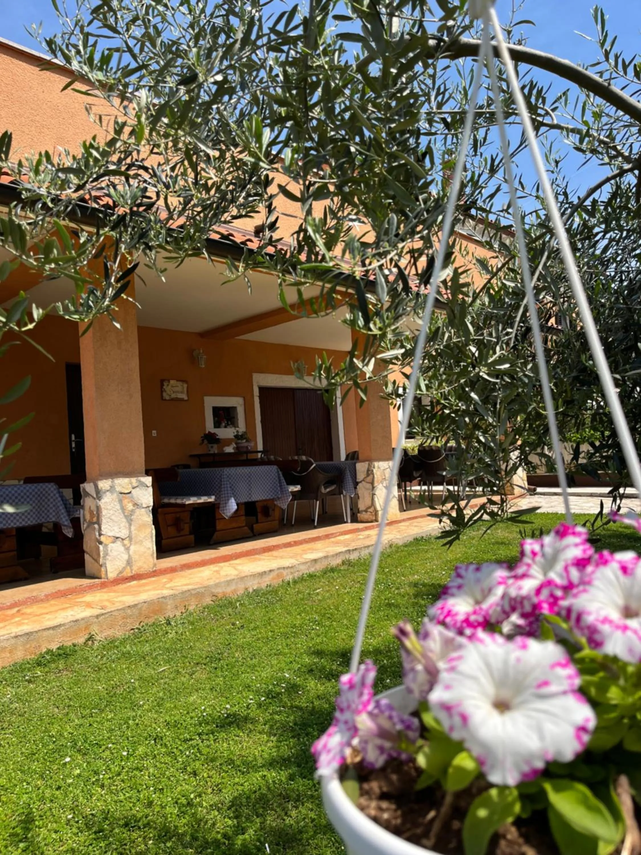 Property building in Rooms Danica