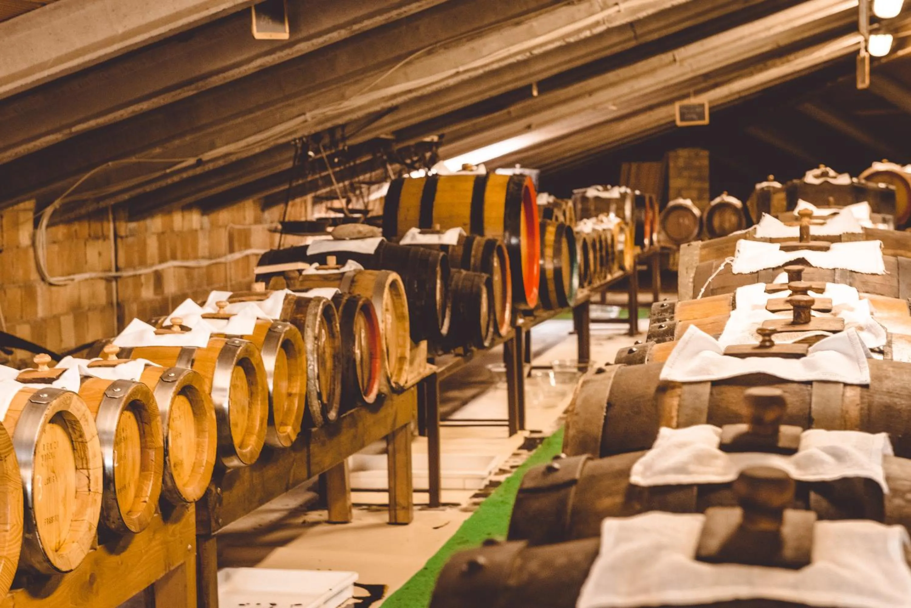 Activities in Hotel San Pellegrino