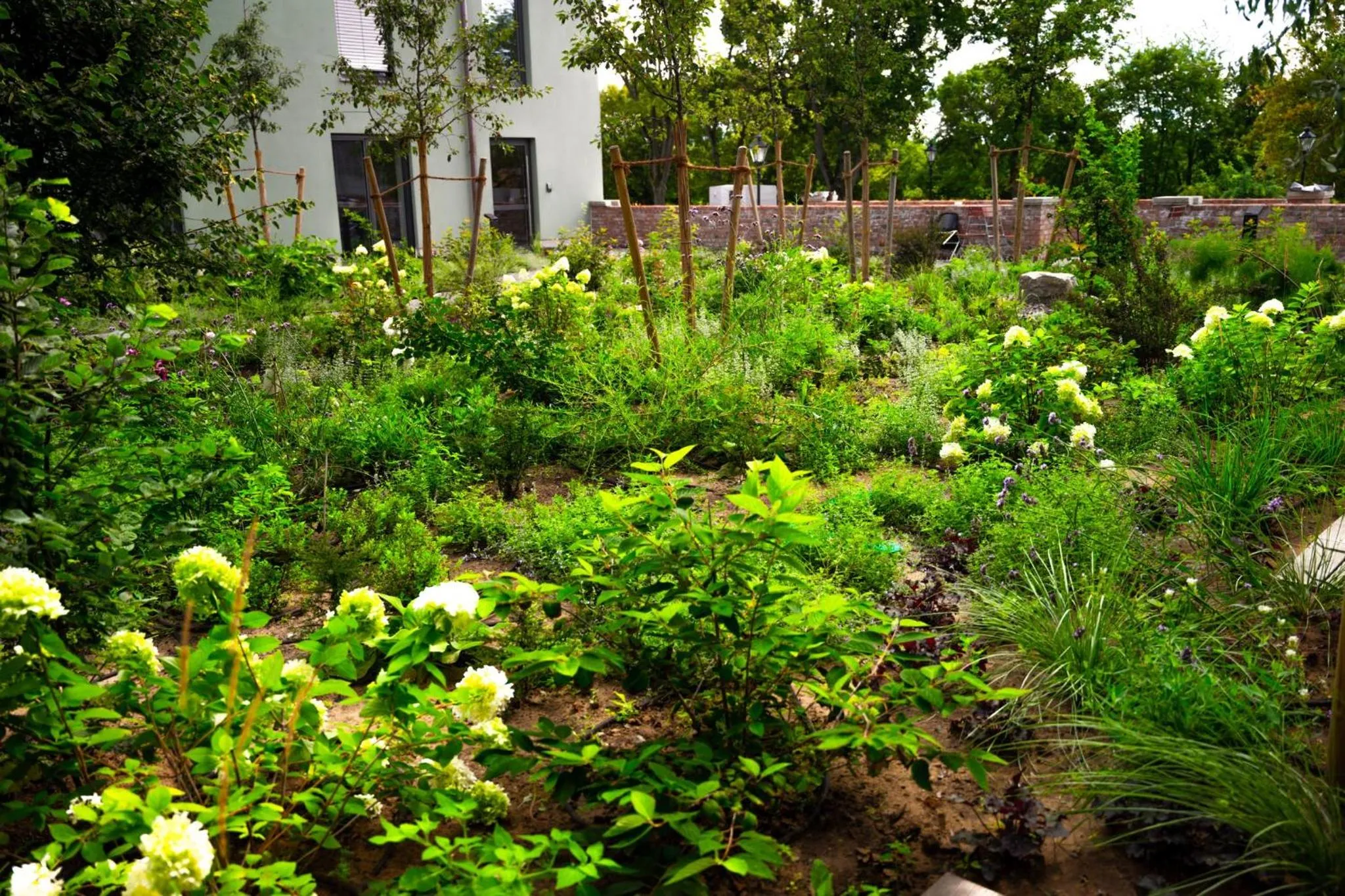 Garden view in Cavallestro Classic