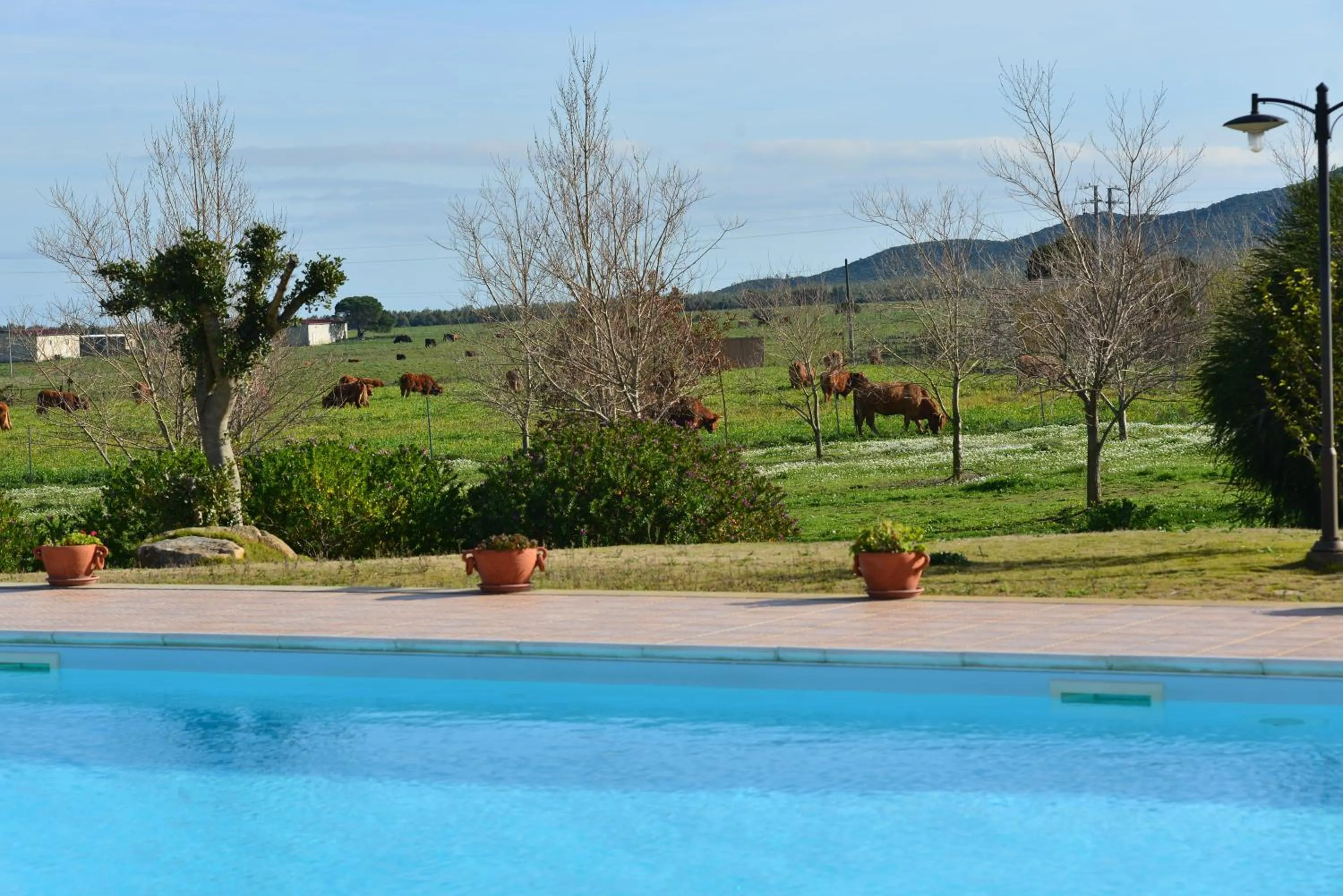 Day in Albergo Ristorante Pizzeria Monte Arcosu