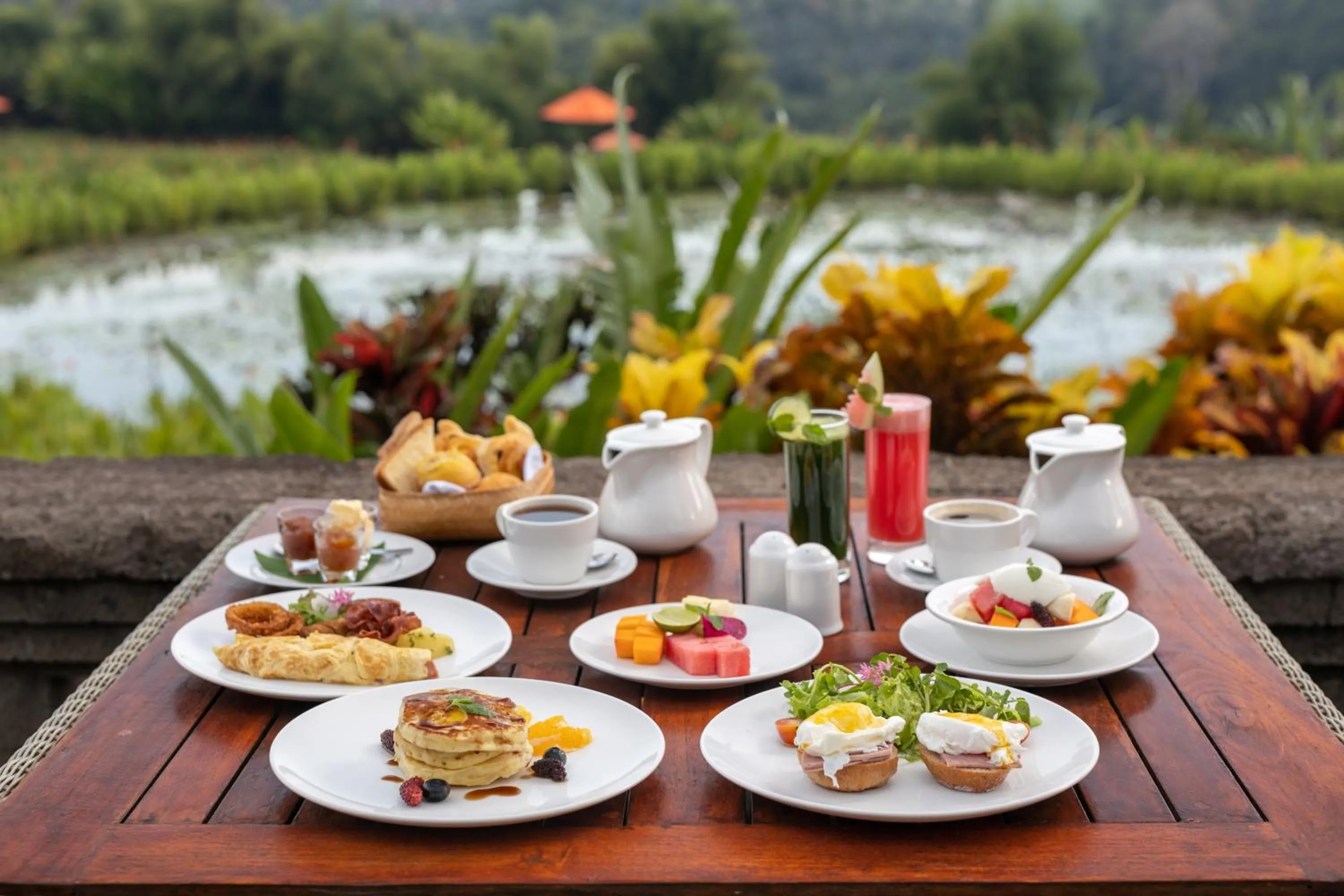 Day in Swan Paradise A Pramana Experience