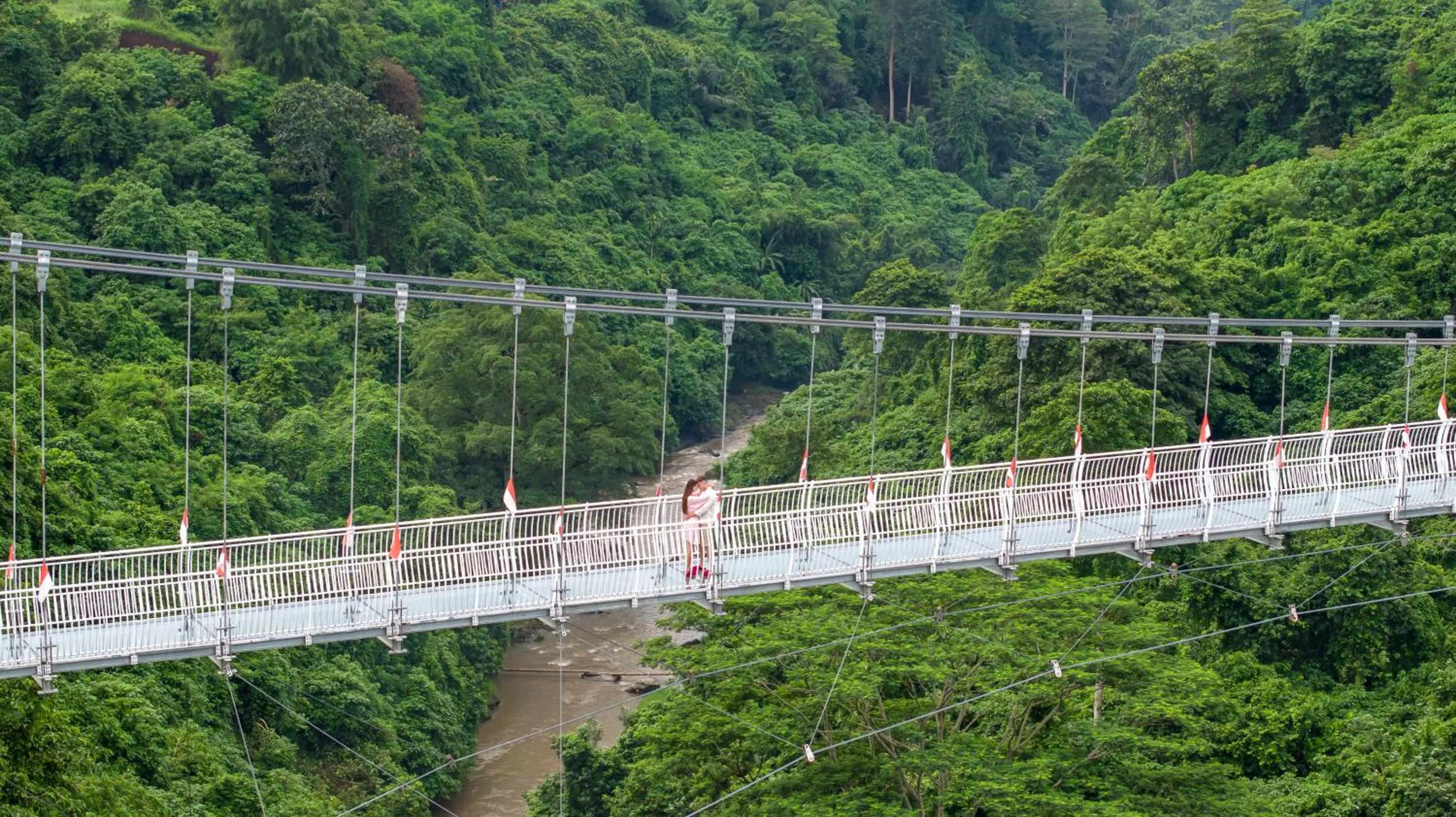 Activities in Swan Paradise A Pramana Experience