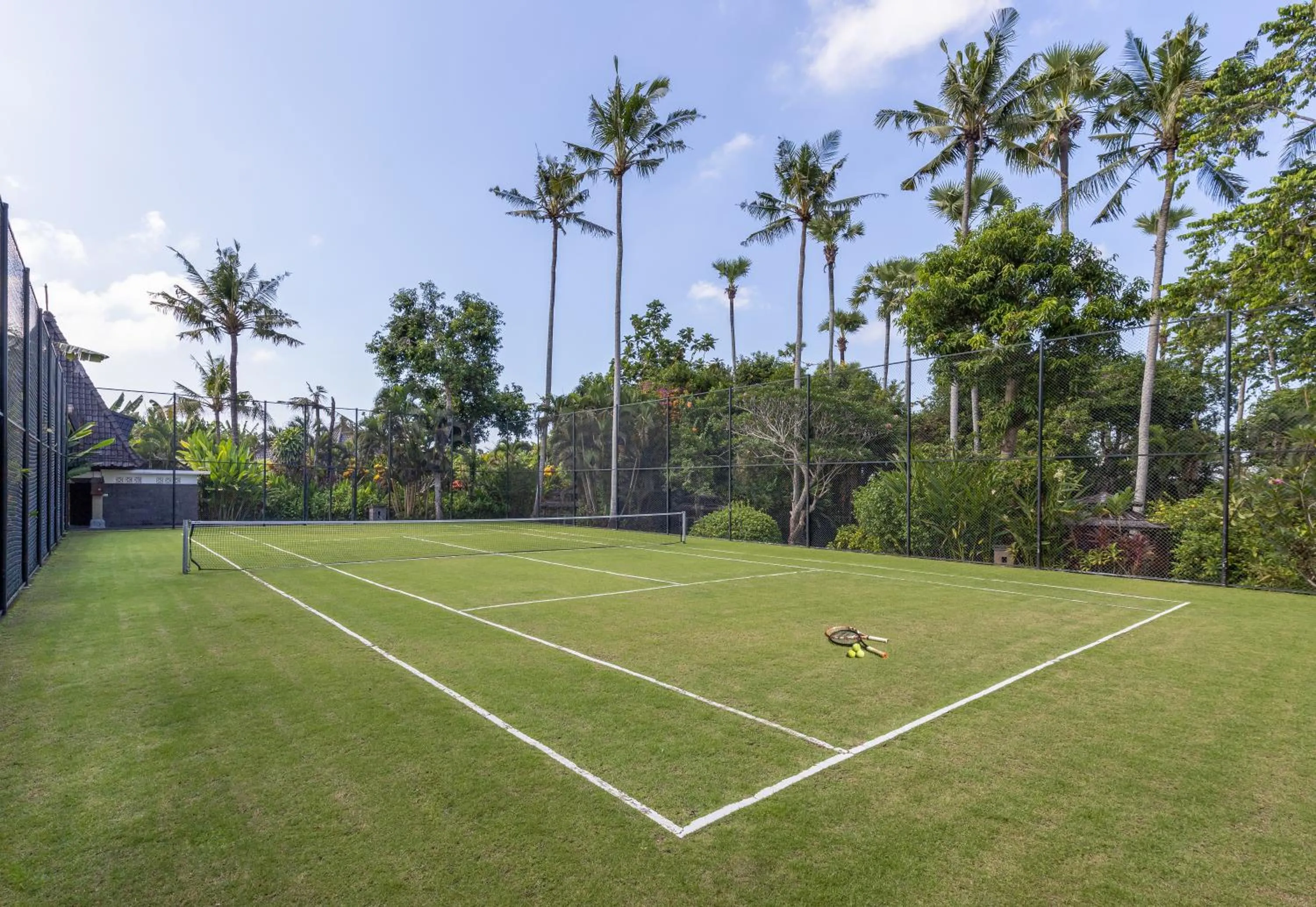 Day in Swan Paradise A Pramana Experience