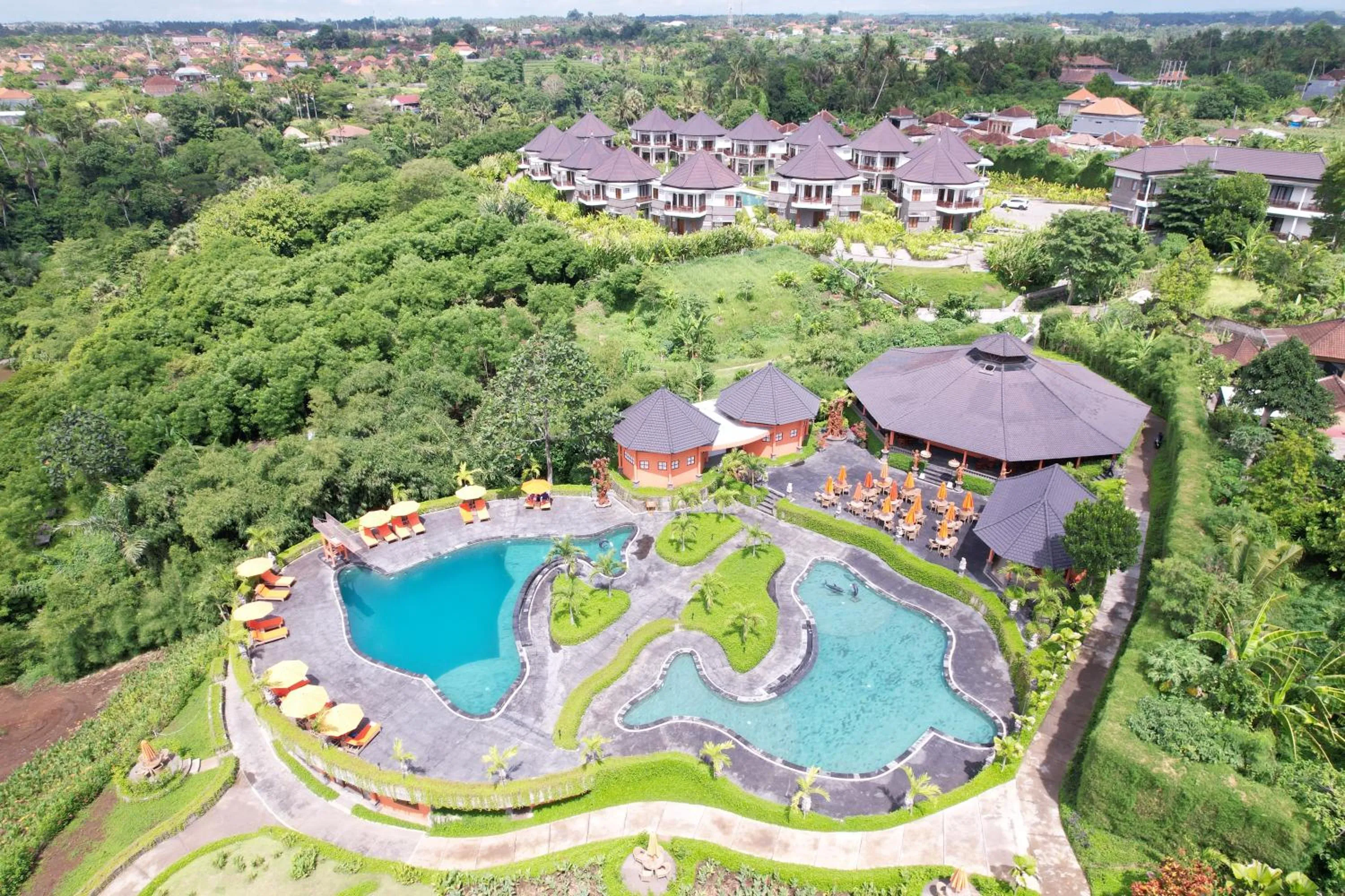 Day in Swan Paradise A Pramana Experience