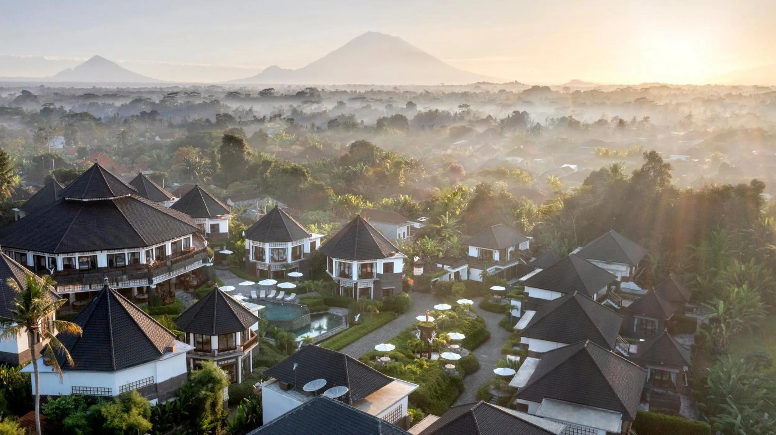 Day in Swan Paradise A Pramana Experience