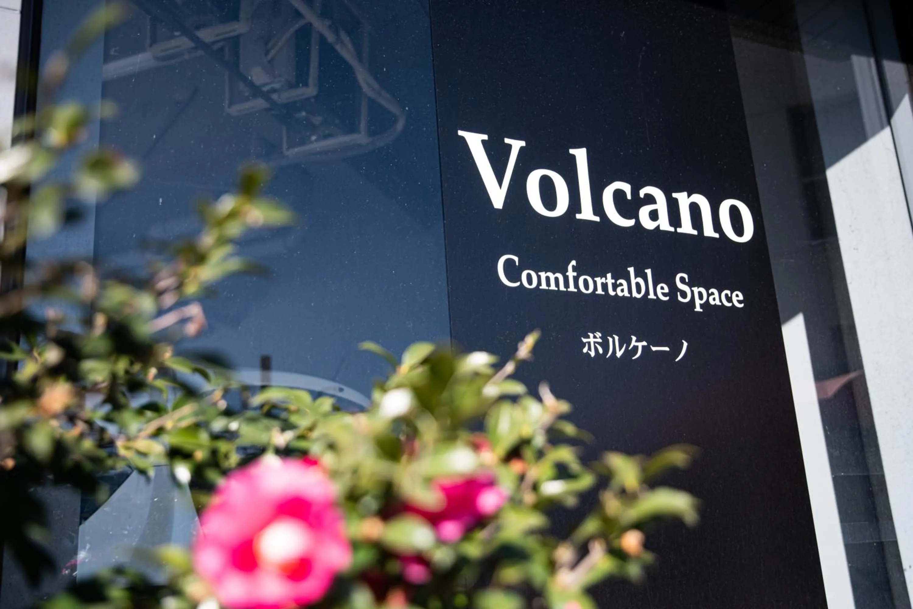 Logo/Certificate/Sign in Volcano