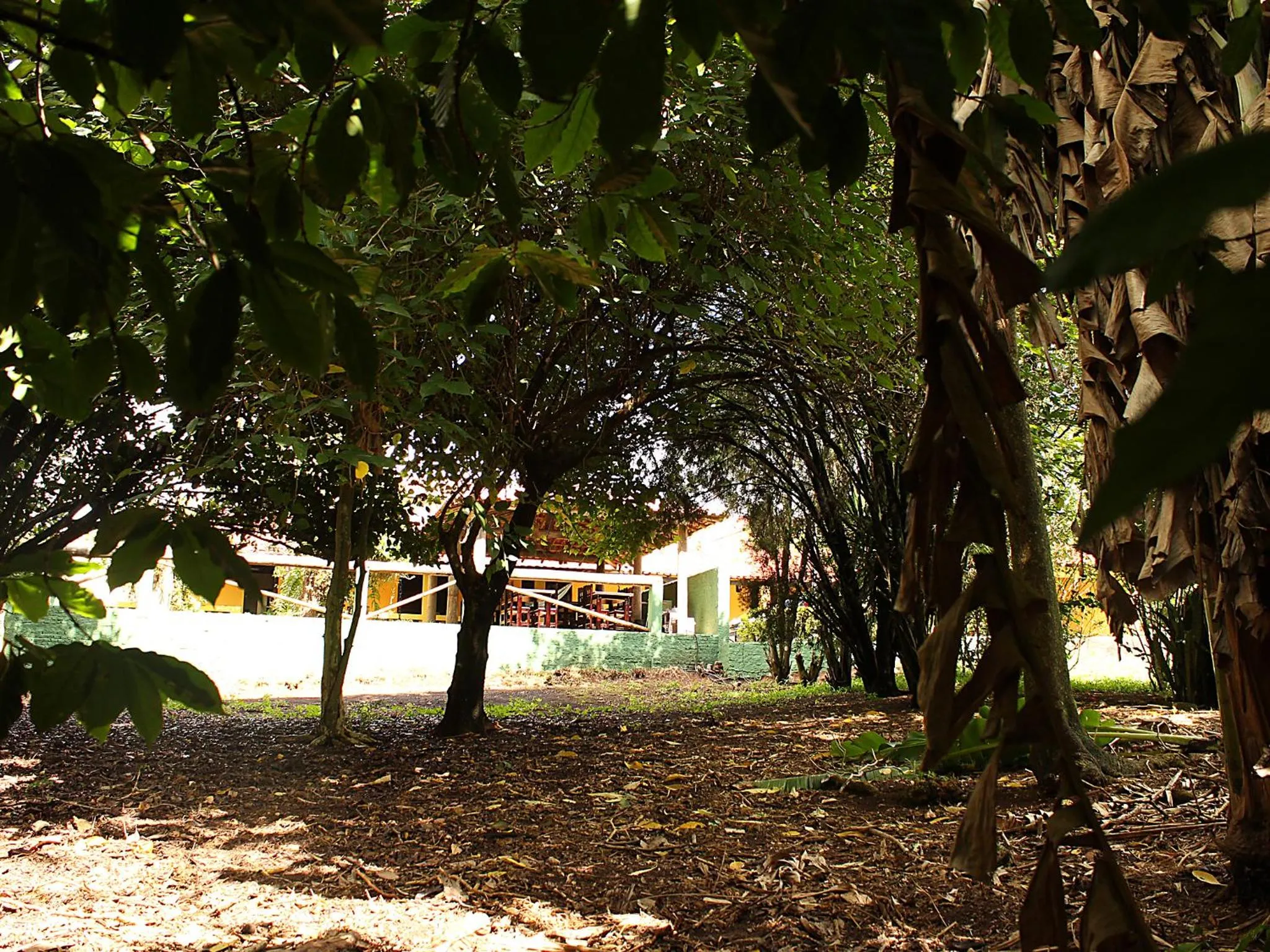 Garden in Guappo Socorro