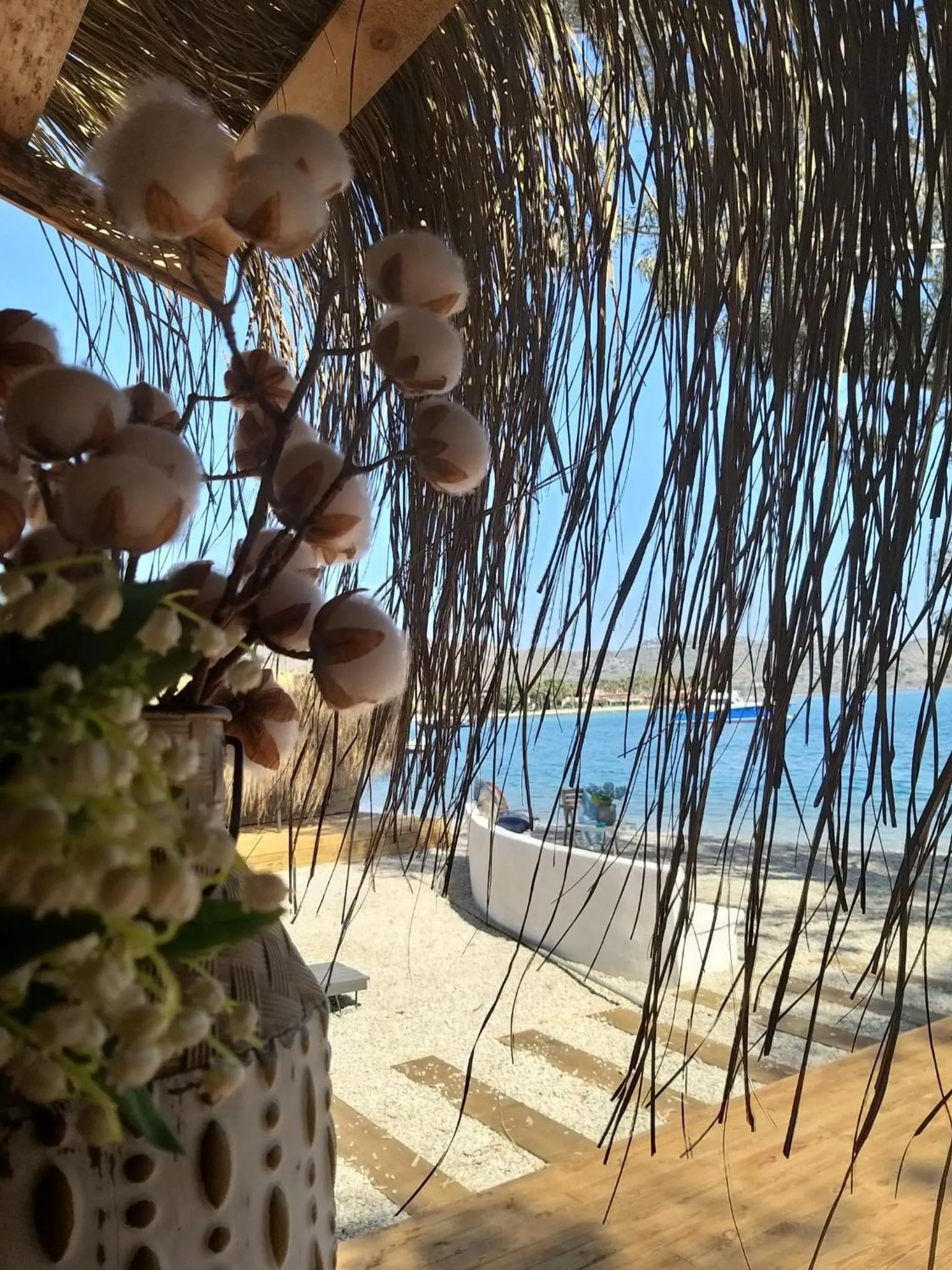 Restaurant/places to eat in Selimhan Otel