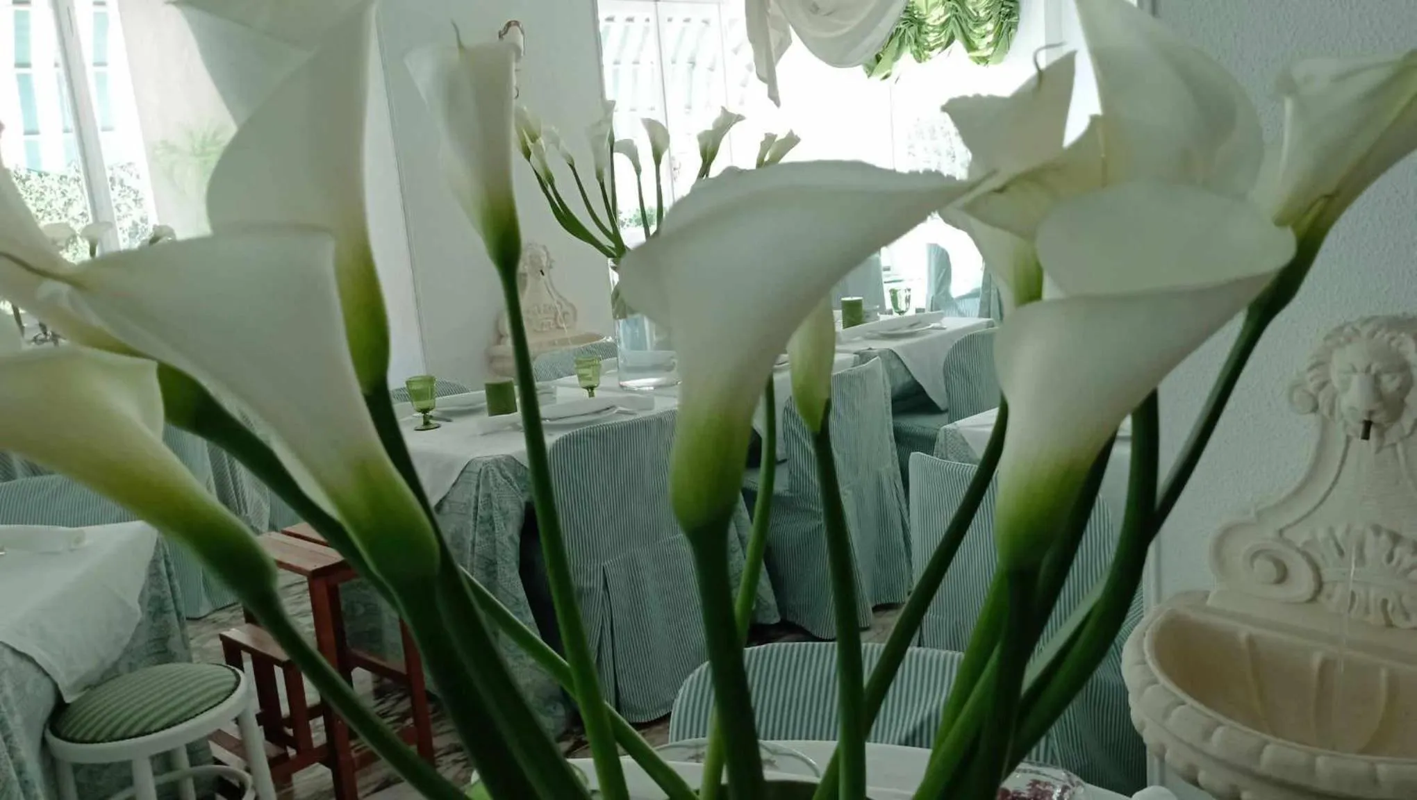 Area and facilities in Eveline Portosole Hotel