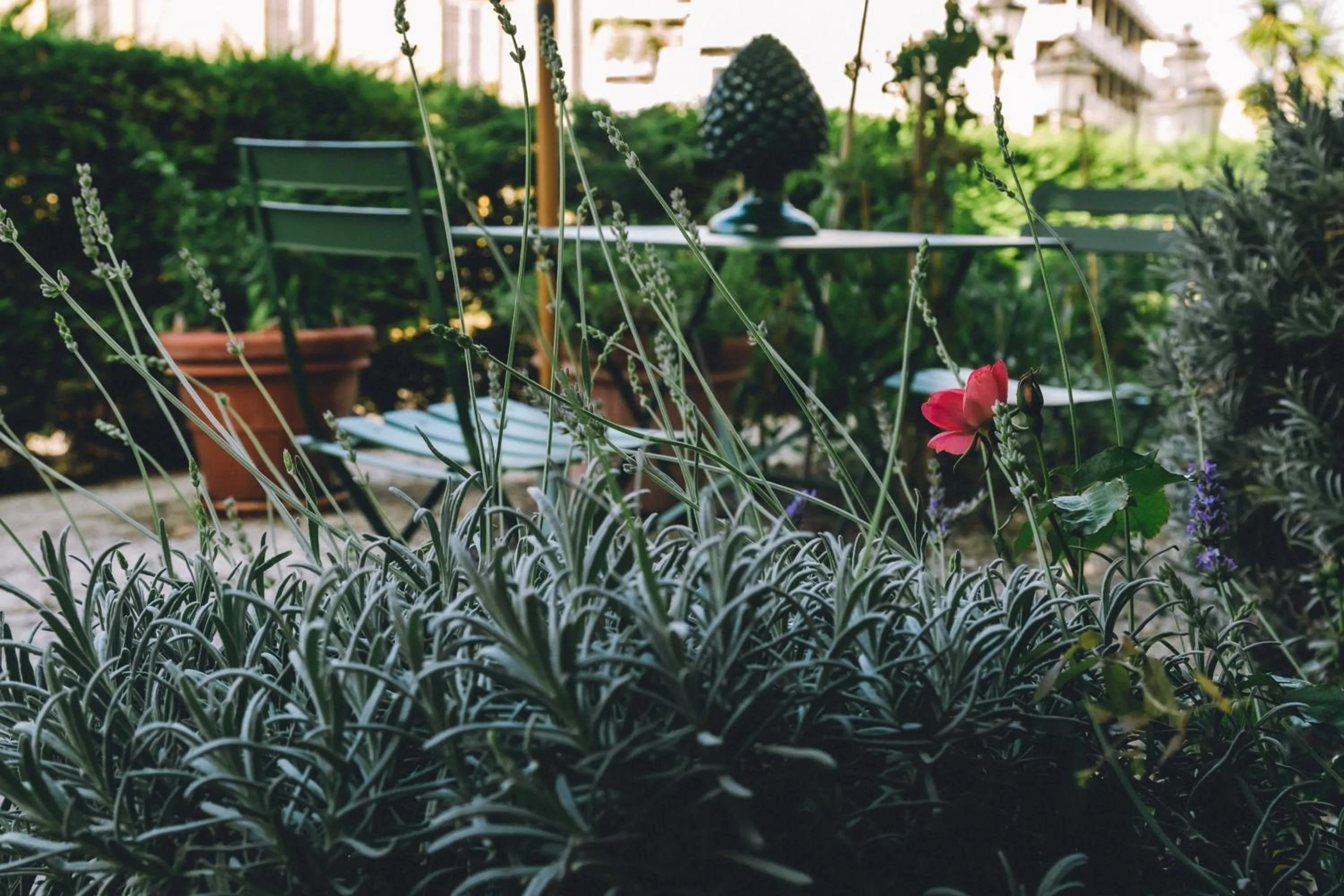Garden in Eveline Portosole Hotel
