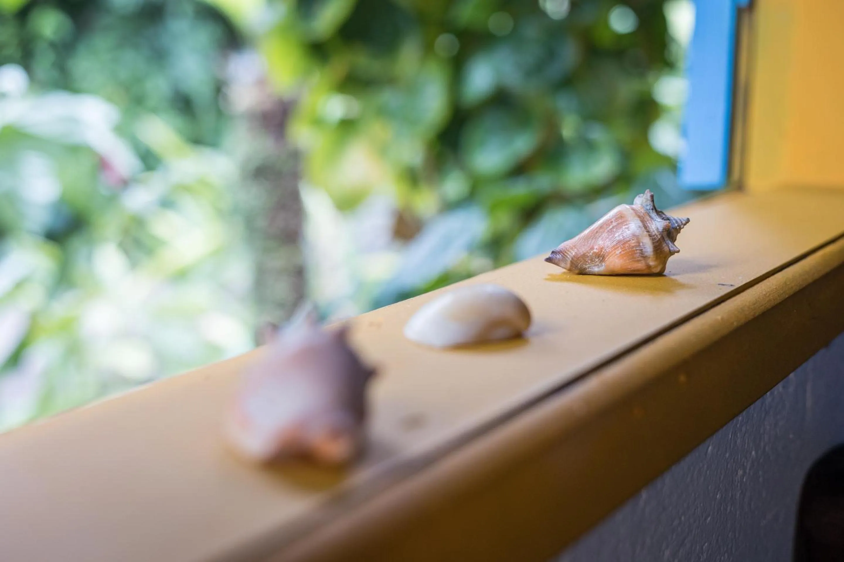 Decorative detail in Pousada Canoa Nativa