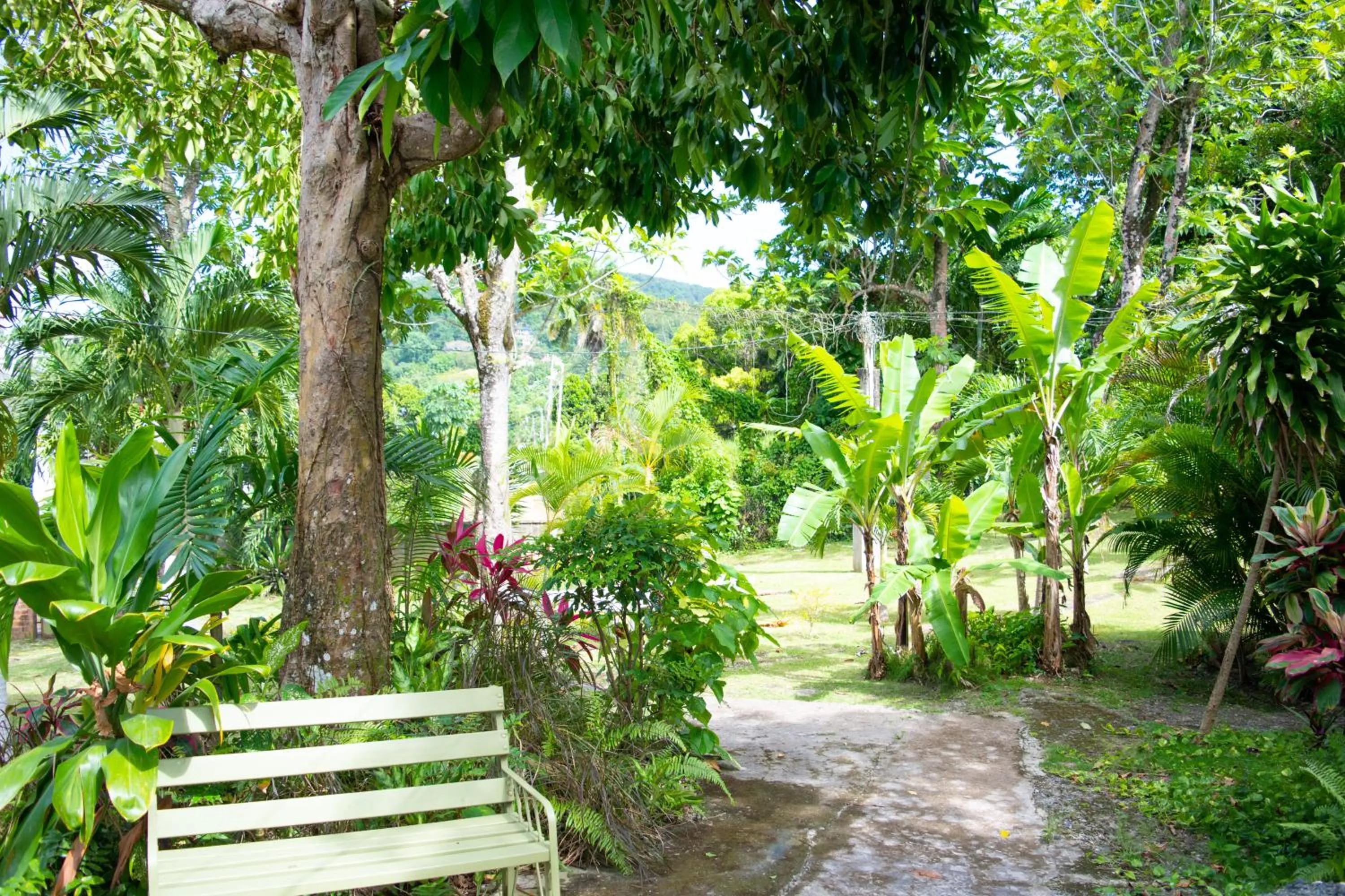 Garden in Sinopia Inn