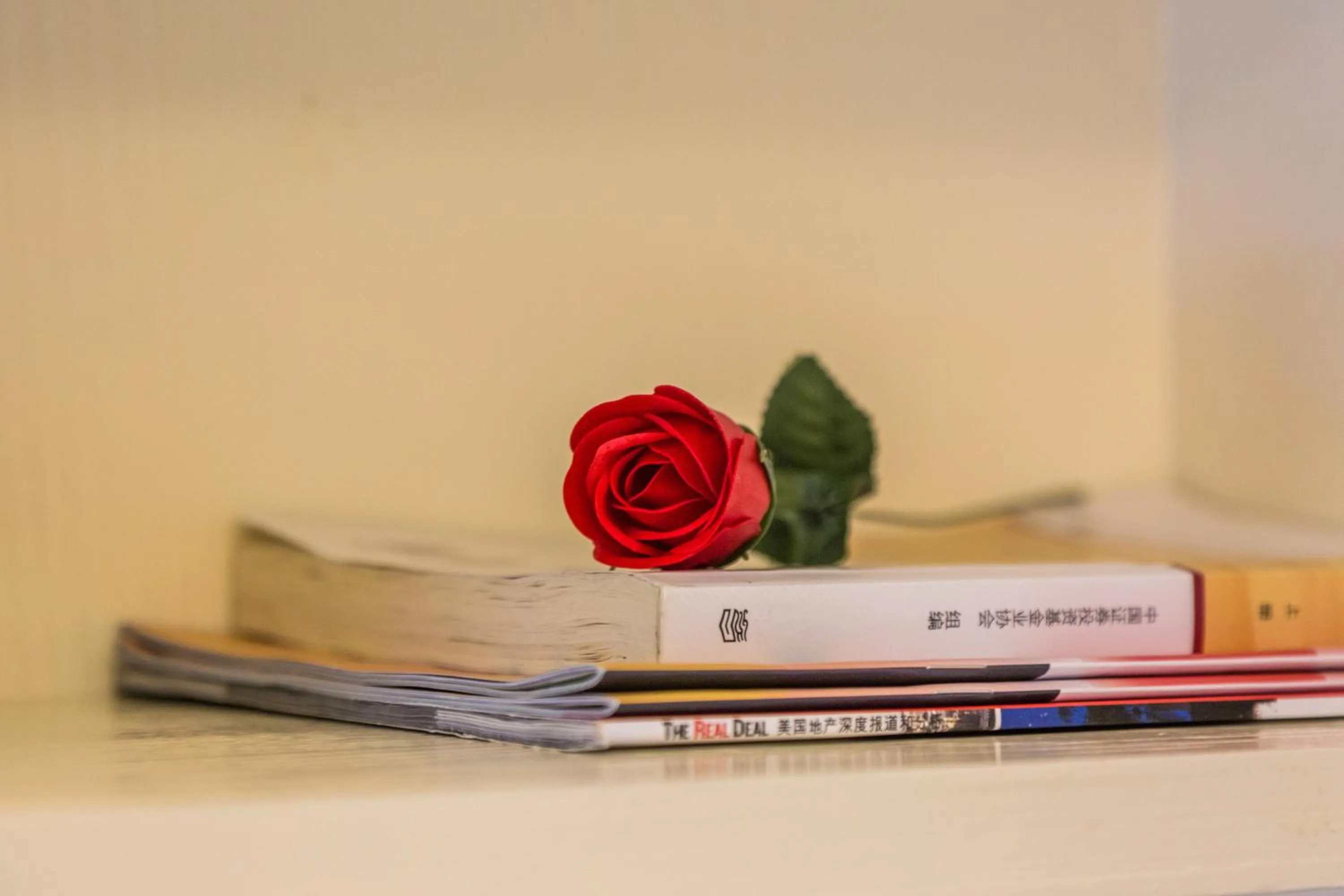 Shanghai Jiarong Hotel Apartment