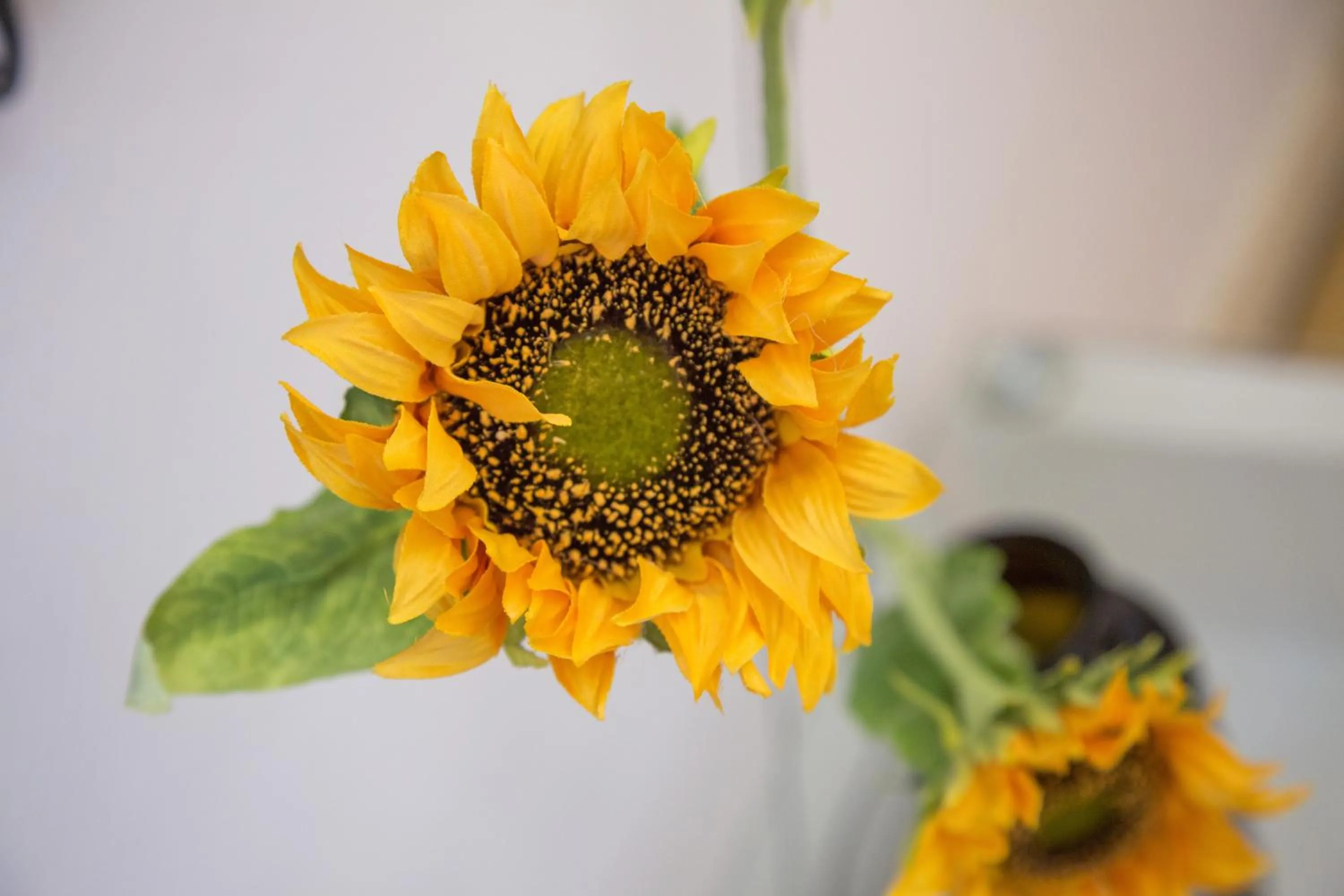 Shanghai Jiarong Hotel Apartment