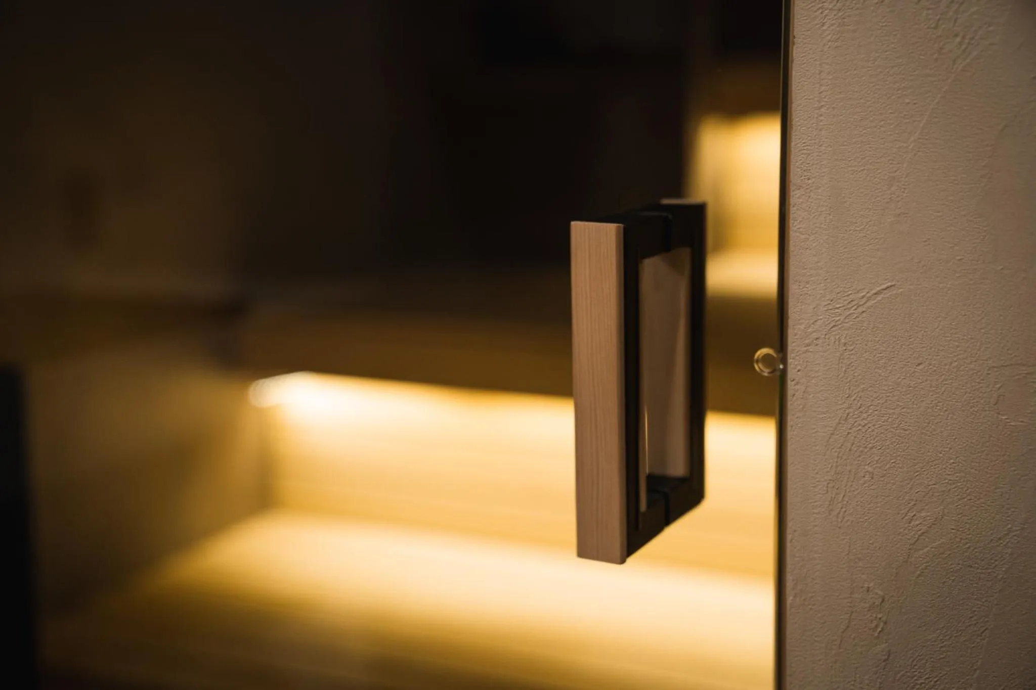 Sauna in SAUNALAND ASAKUSA