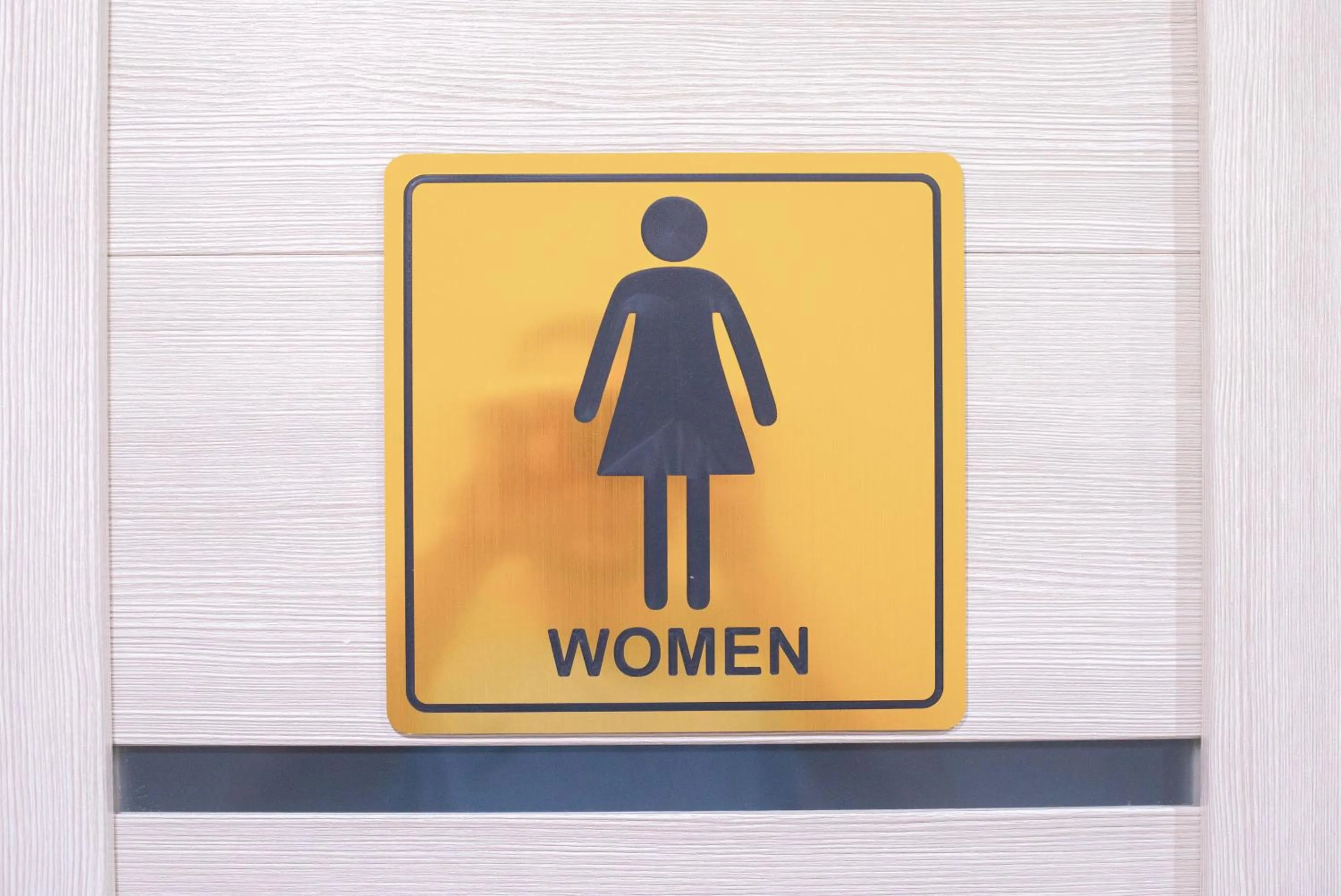 Toilet in Kaganat Hostel