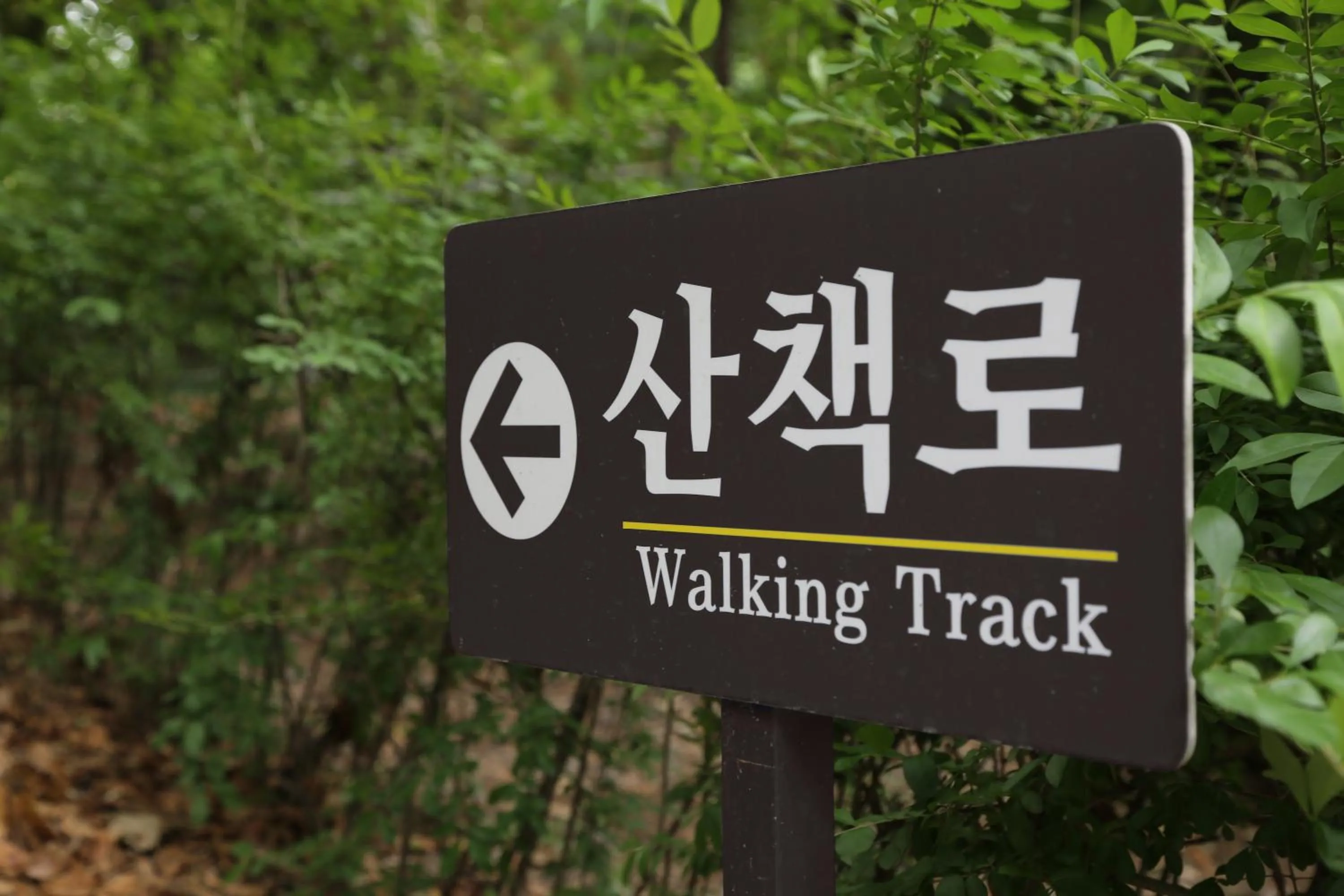 Other in The-K Hotel Seoul