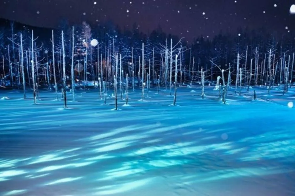 Nearby landmark in GUESTHOUSE CHIYOGAOKA