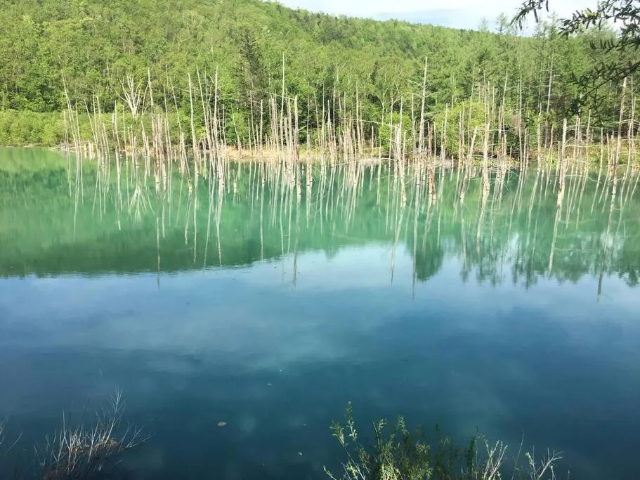 Nearby landmark in GUESTHOUSE CHIYOGAOKA