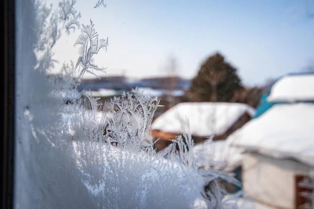 Natural landscape in GUESTHOUSE CHIYOGAOKA